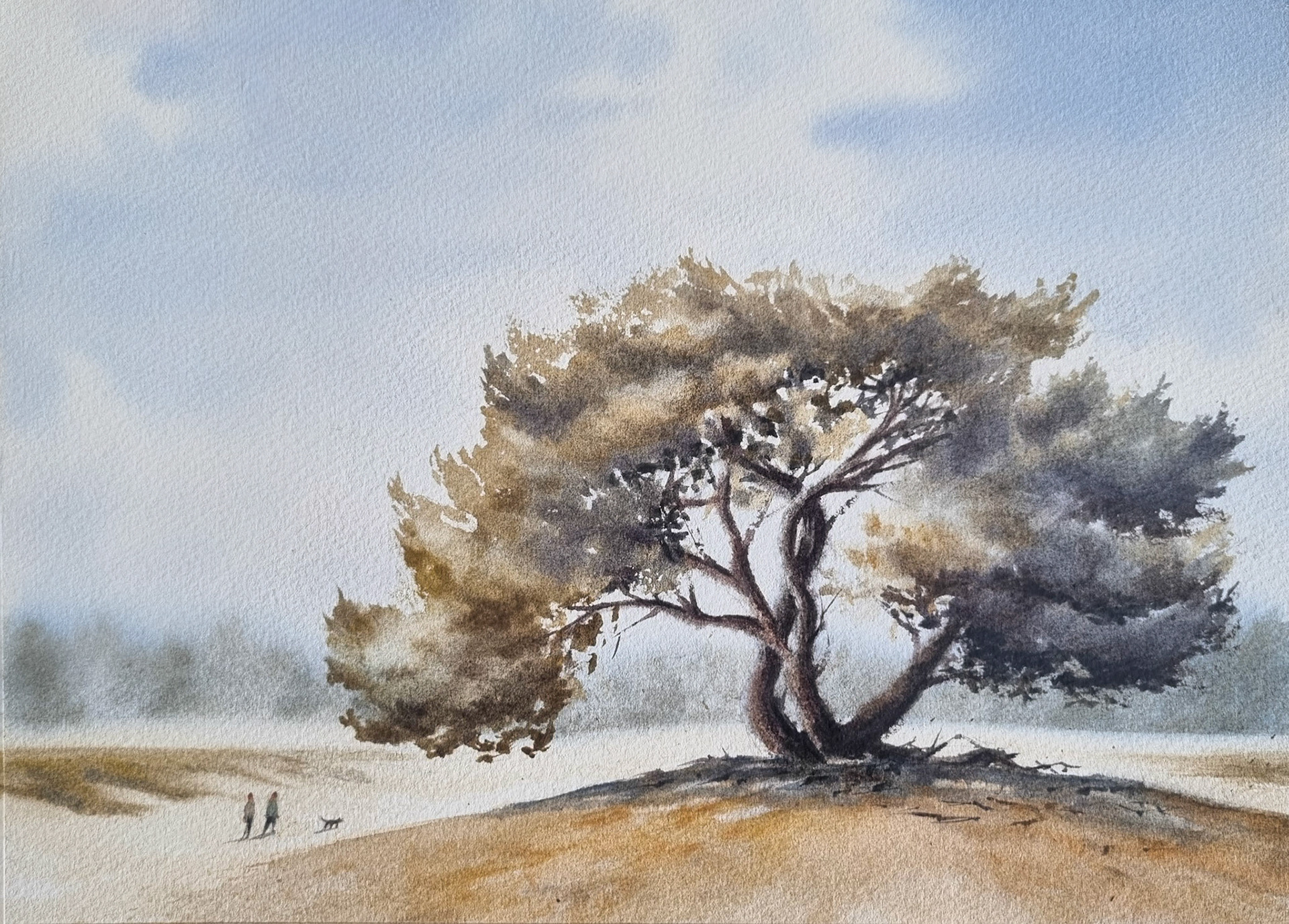 Soesterduinen