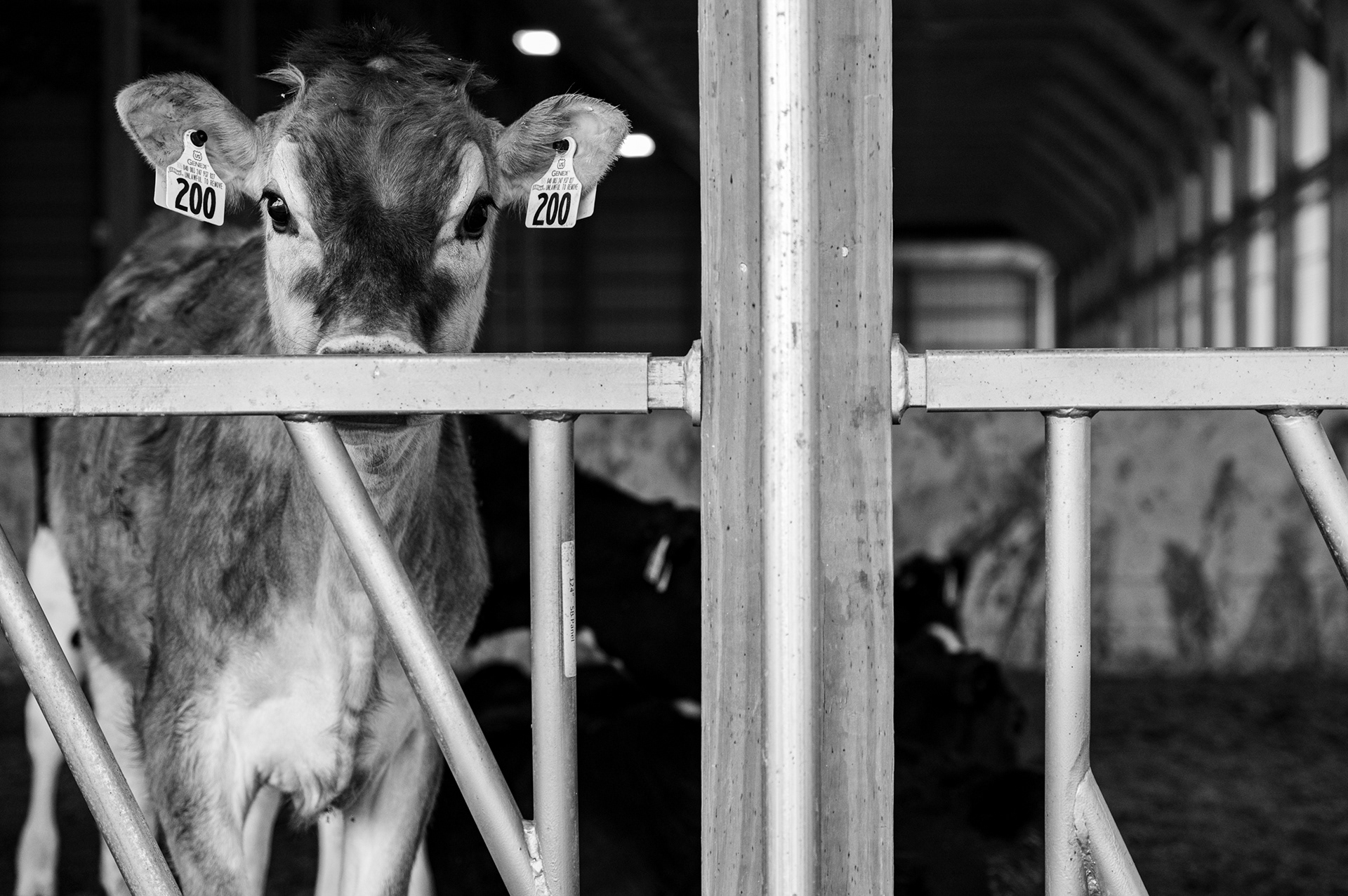 Lifestyle in Thompson CT