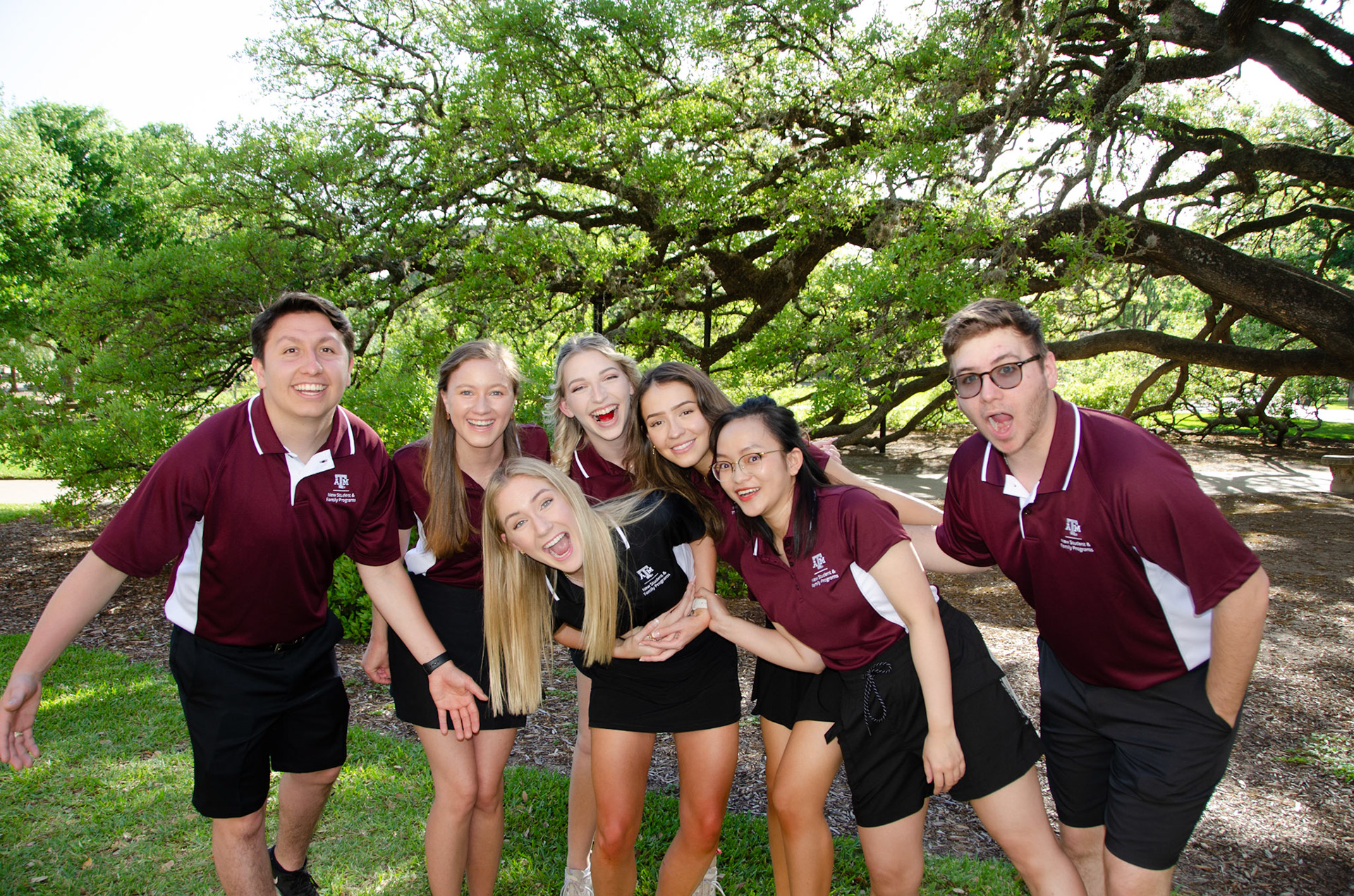 AOL Connection Group