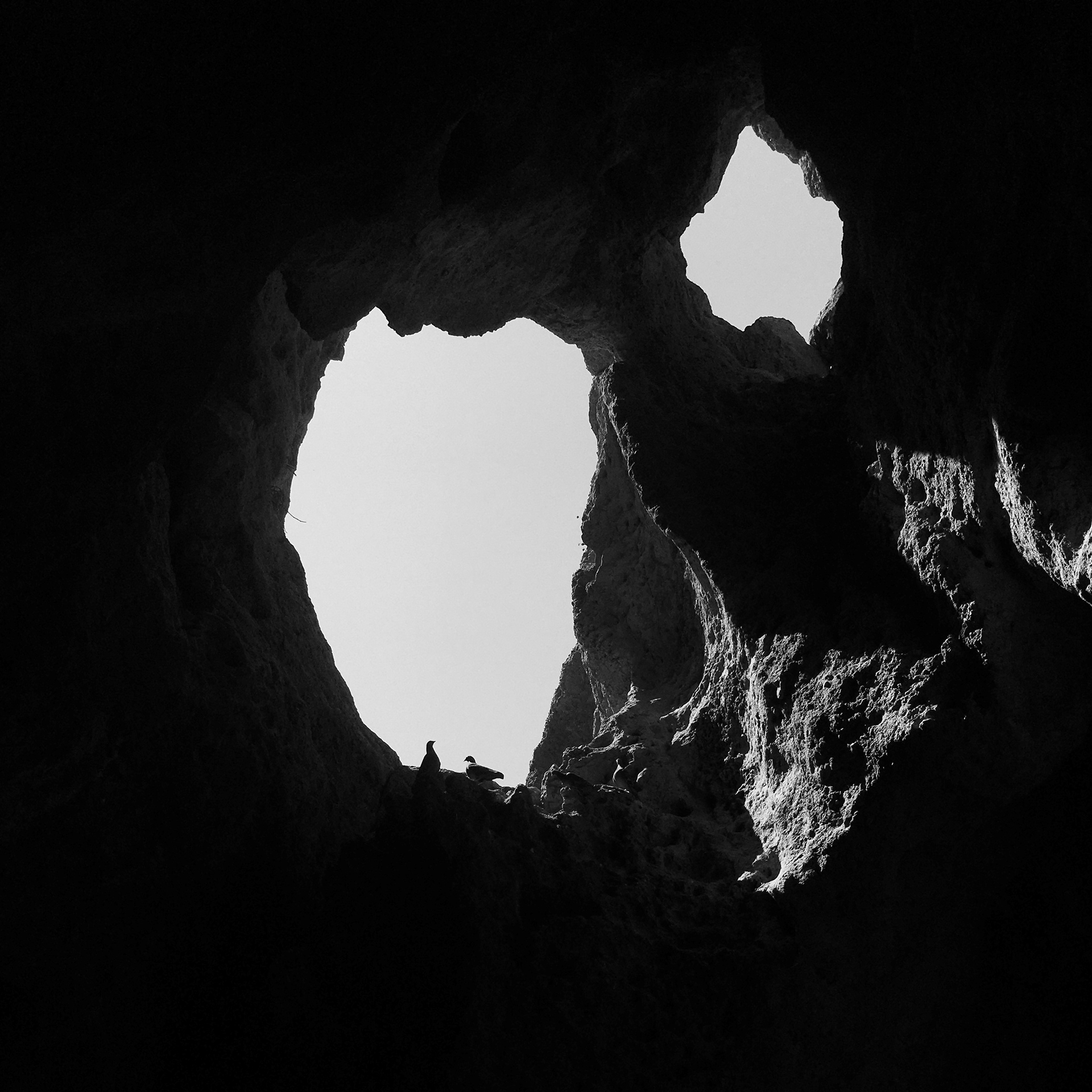 The Valley, Photograph, 2021