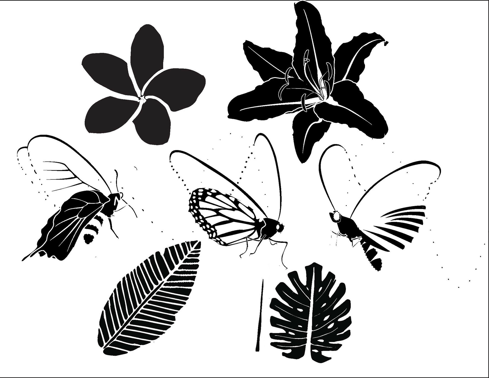 For the black and white transitions, I decided to keep the similar designs my team and I created and morphed one of each designs into the logo that I have created.