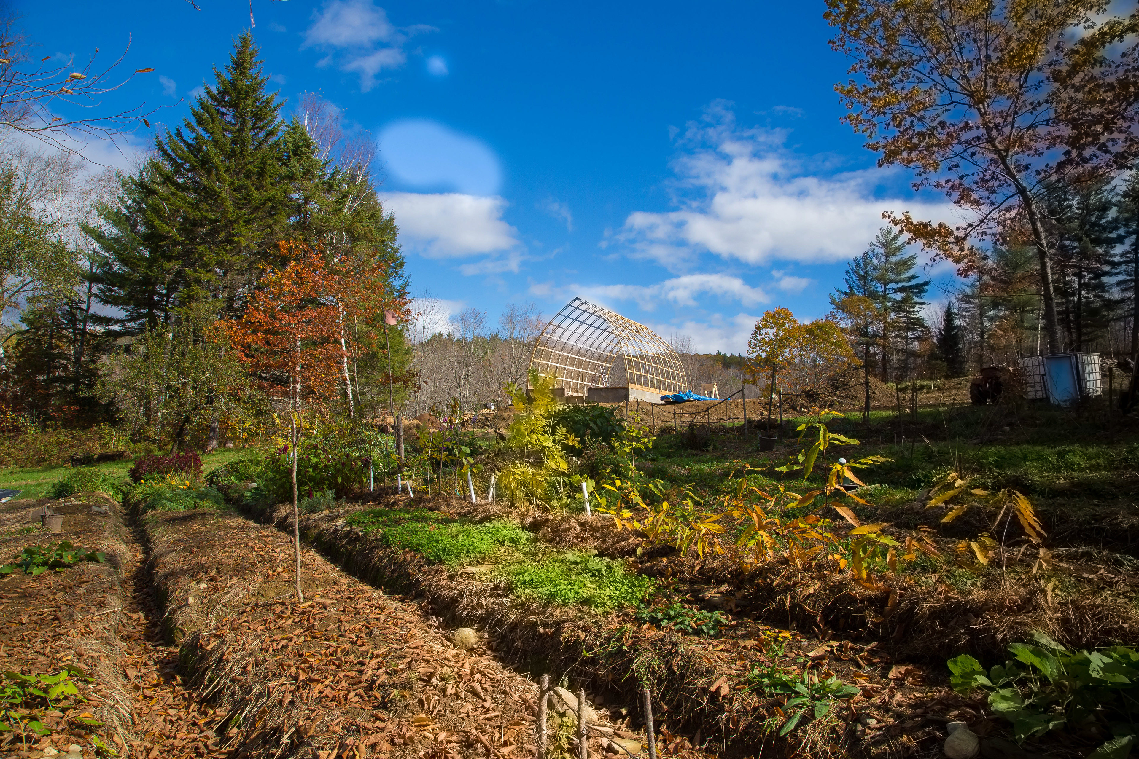 Mike's Maine Paradise