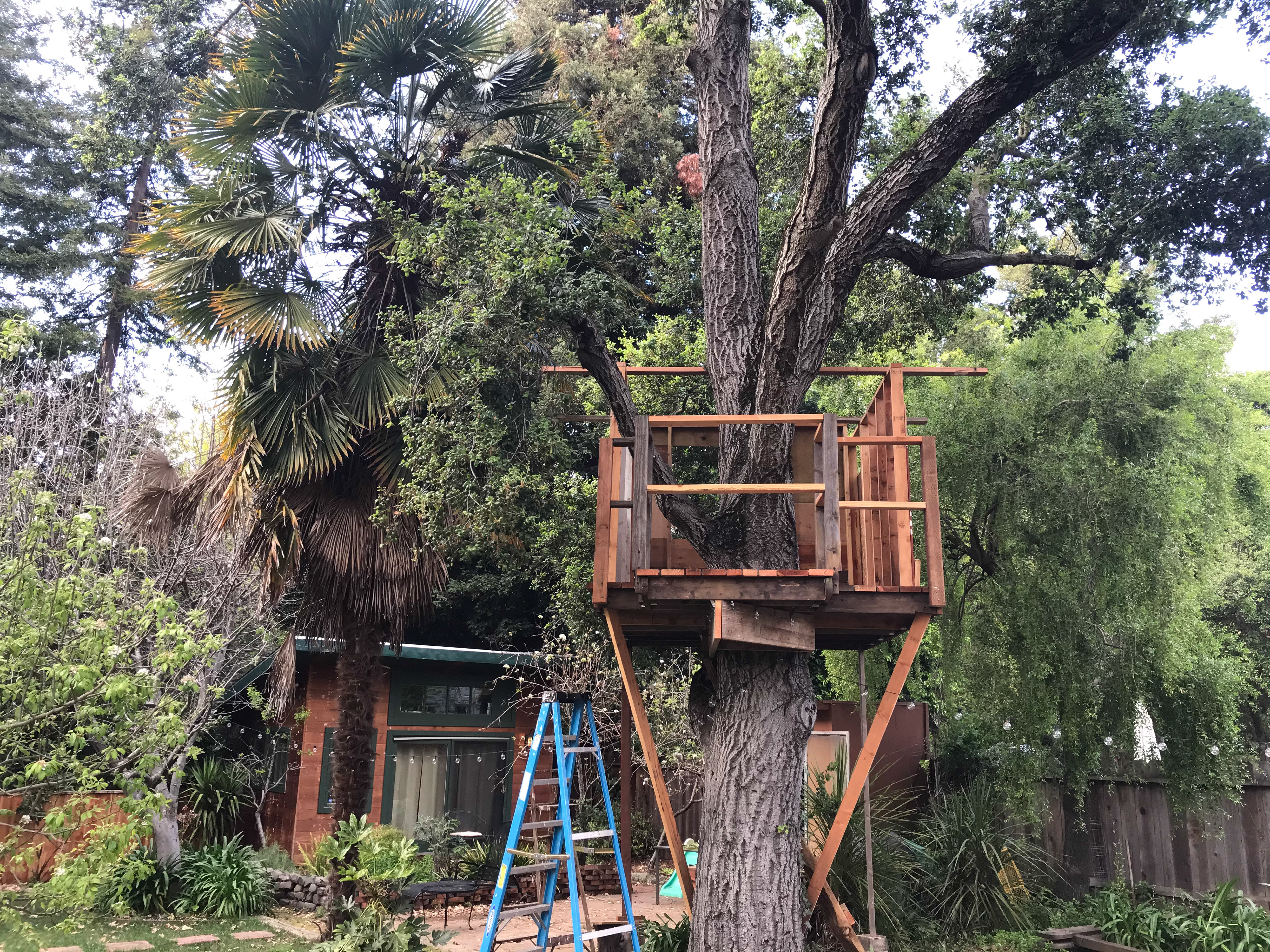 Treehouse build.