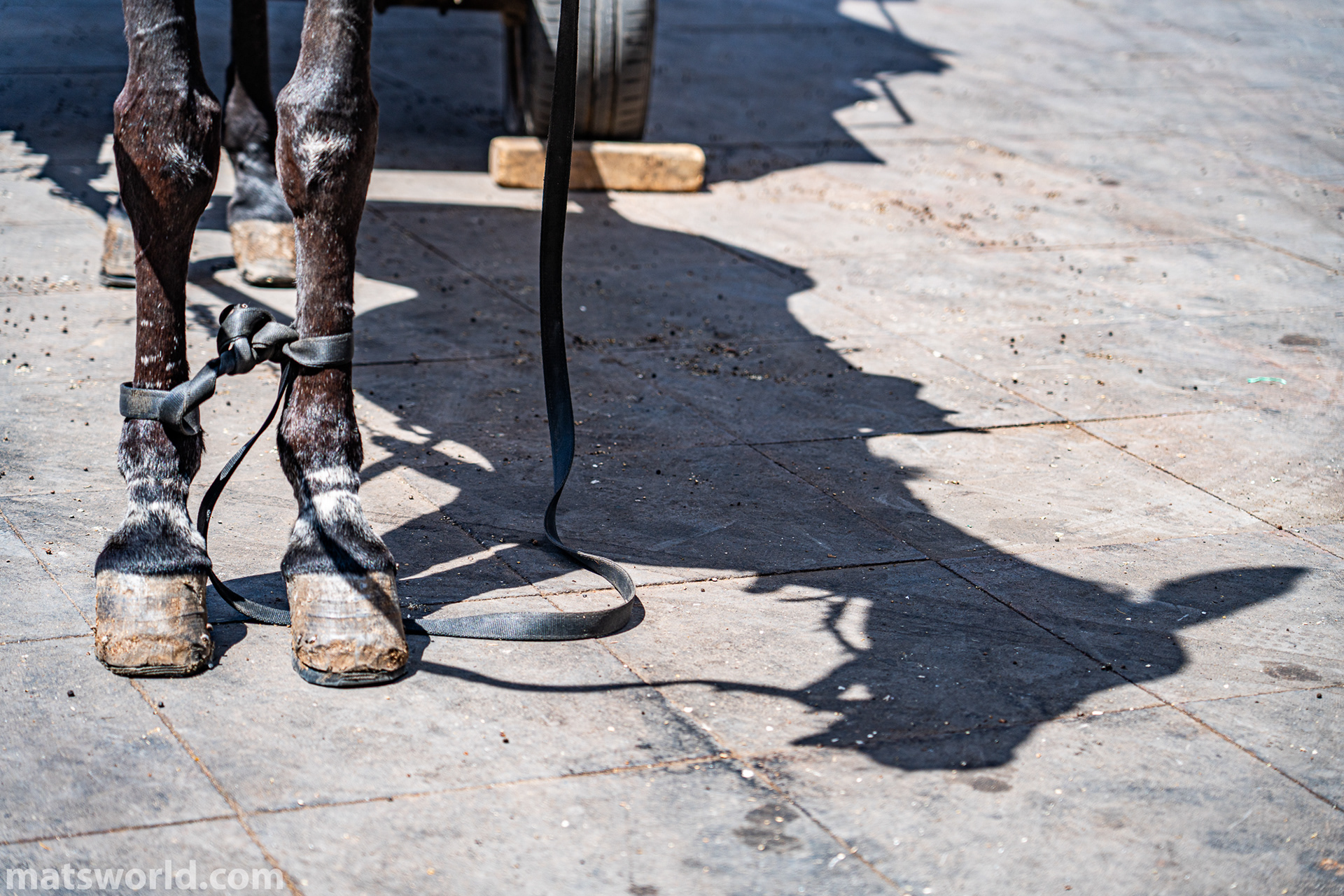 Marrakech - Transport