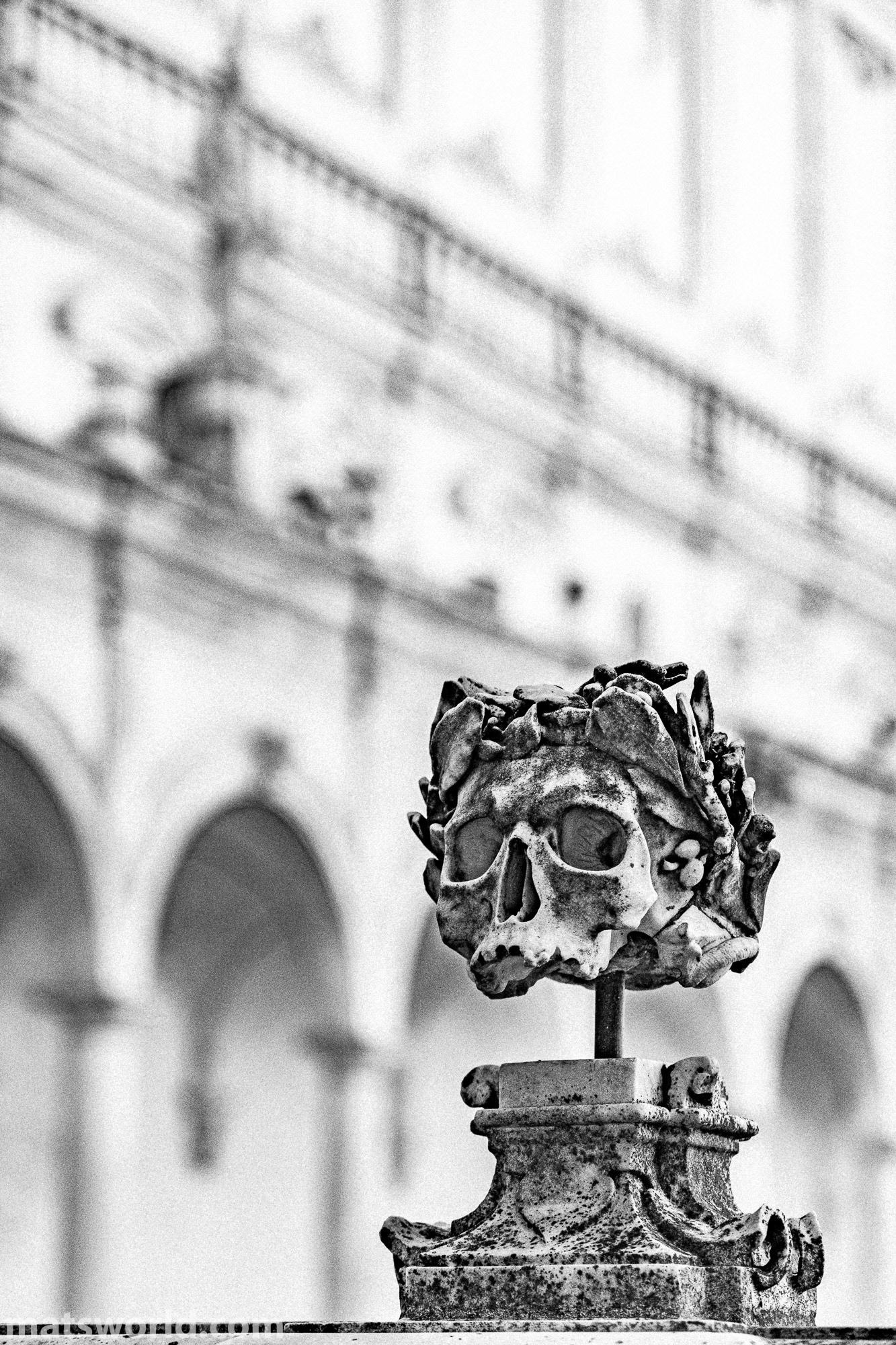 una passegiata per Napoli - le chiese e i monasteri