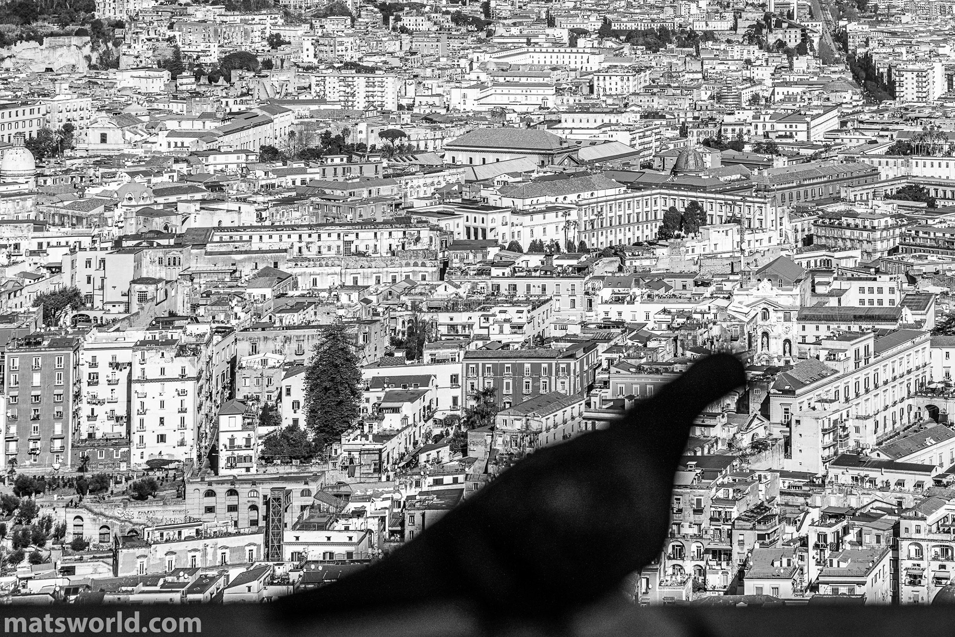 una passegiata per Napoli - gli uccelli
