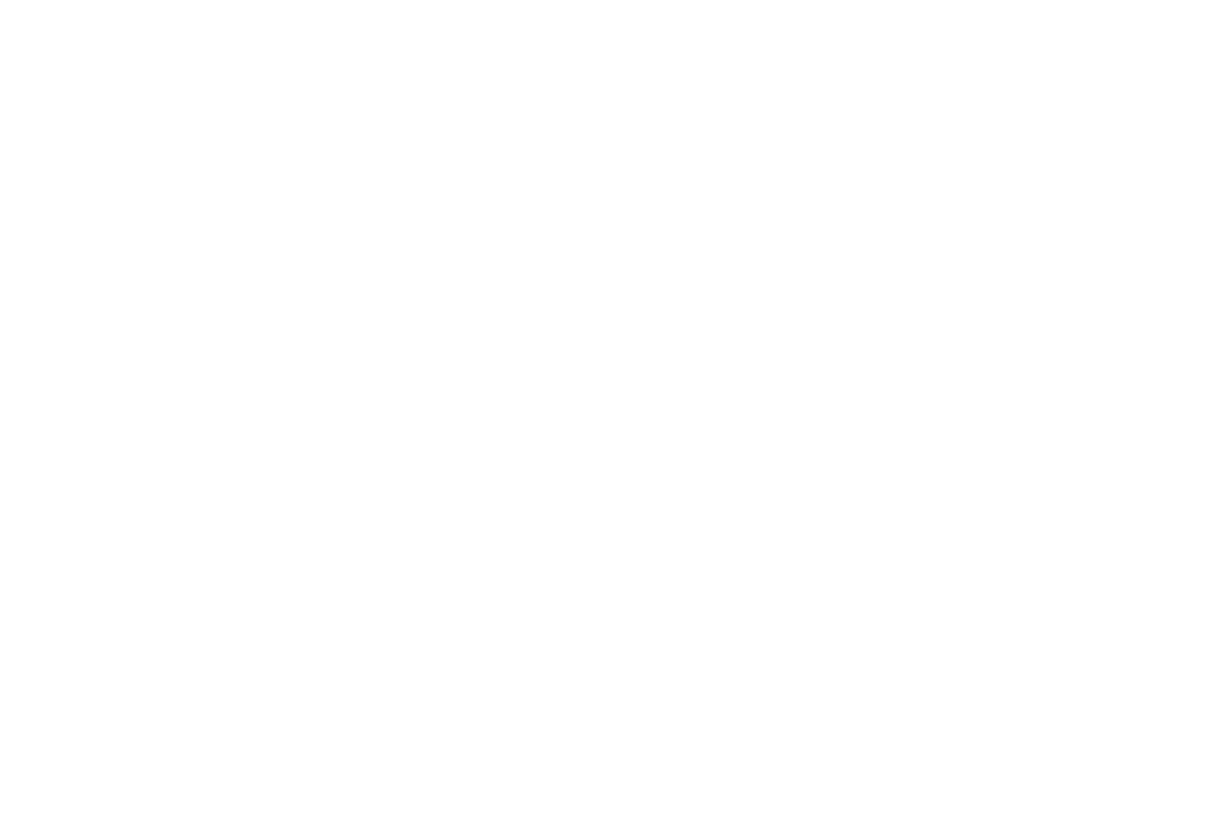 Mathieu Perrot Bohringer