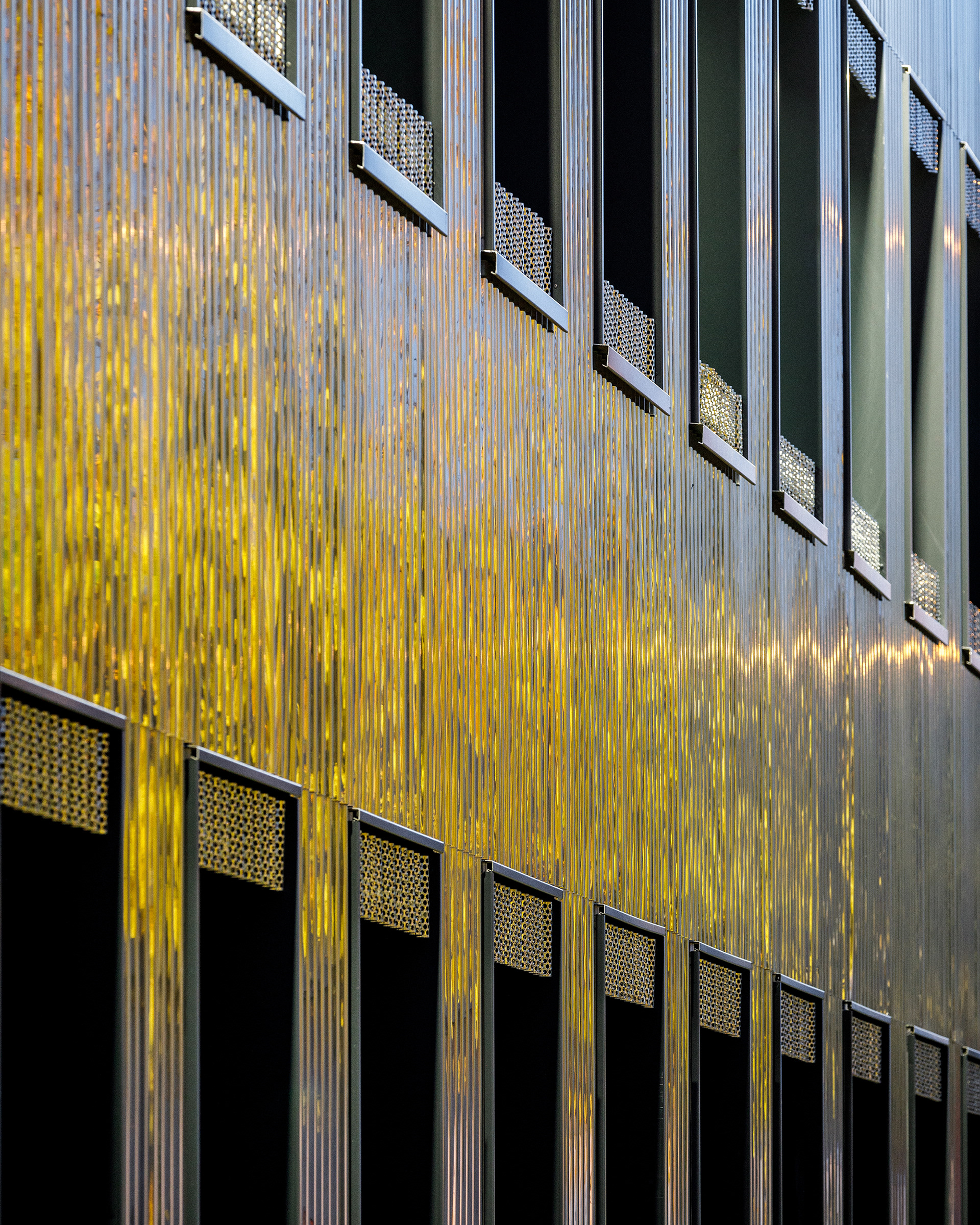 Reflets d'automne sur le bardage ondulé en acier inoxydable