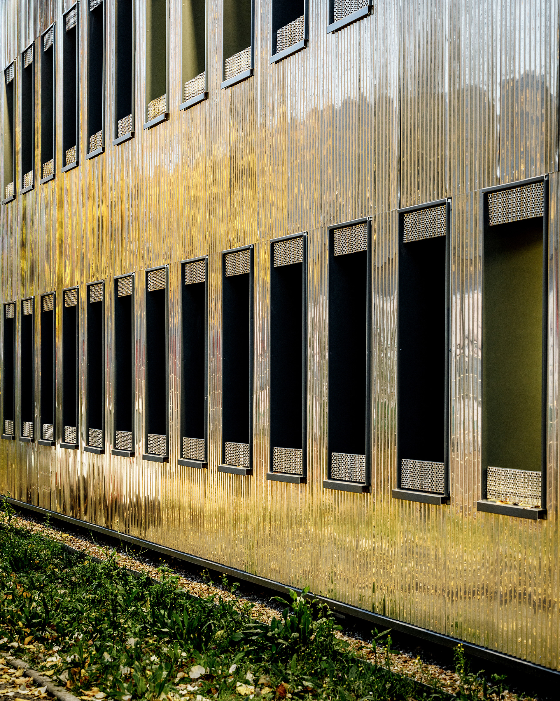 Reflets d'automne sur le bardage ondulé en acier inoxydable