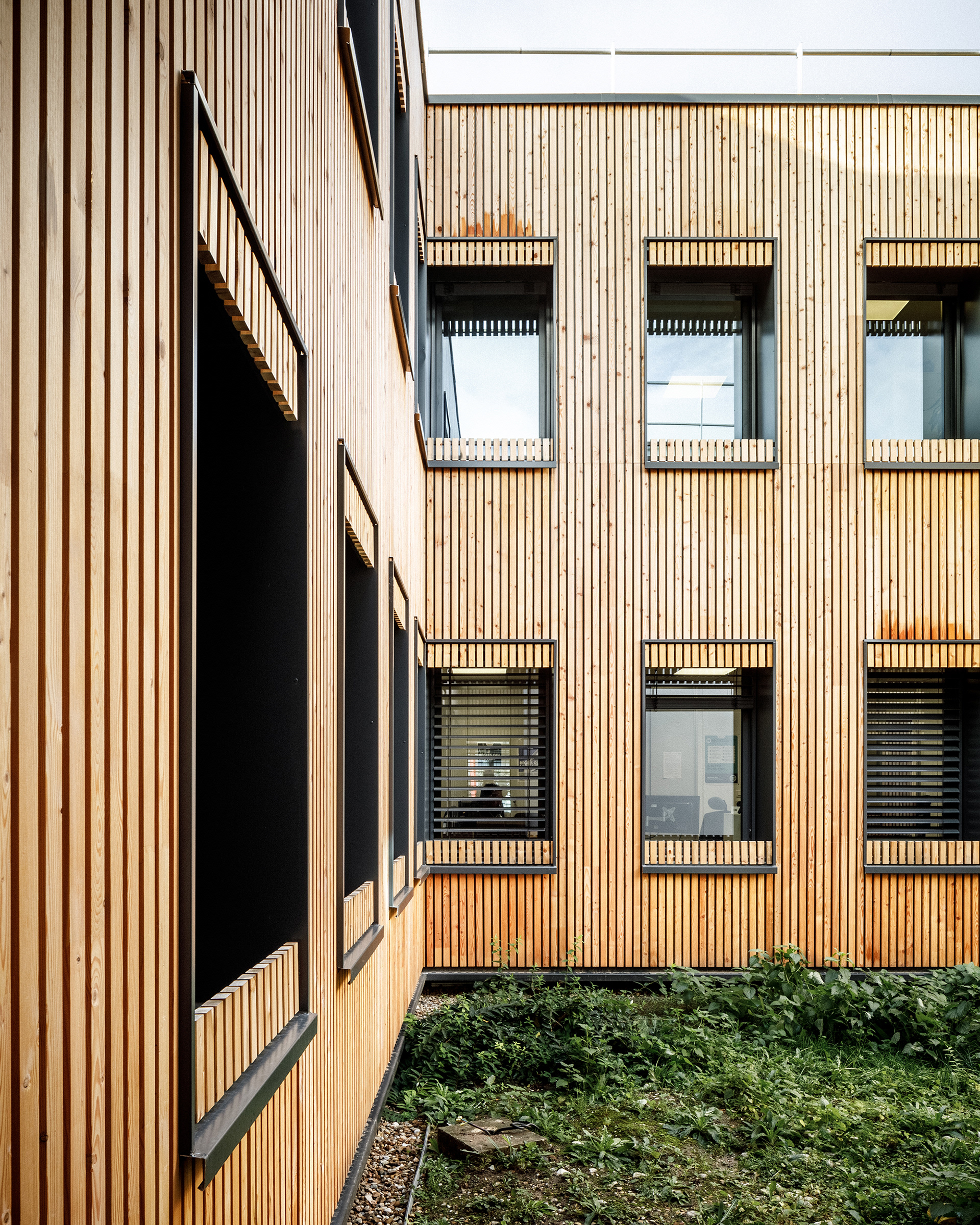 Façades en mélèze du patio