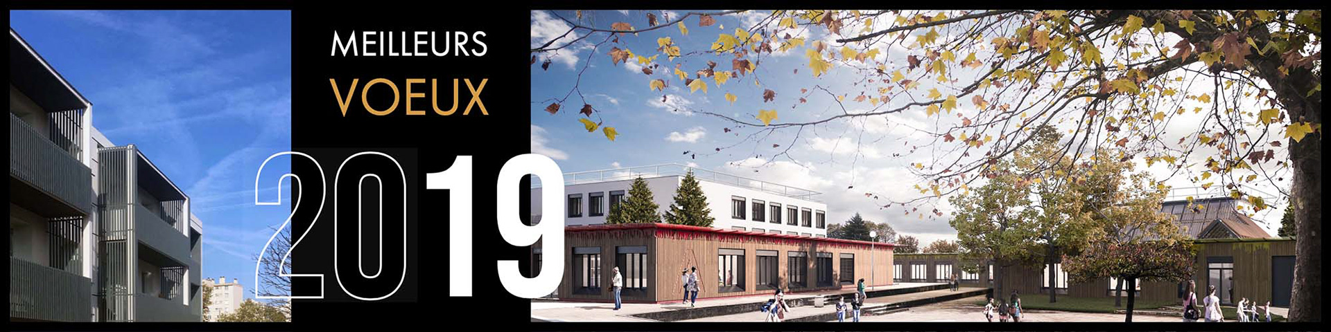 Bonne année 2019  et meilleurs voeux