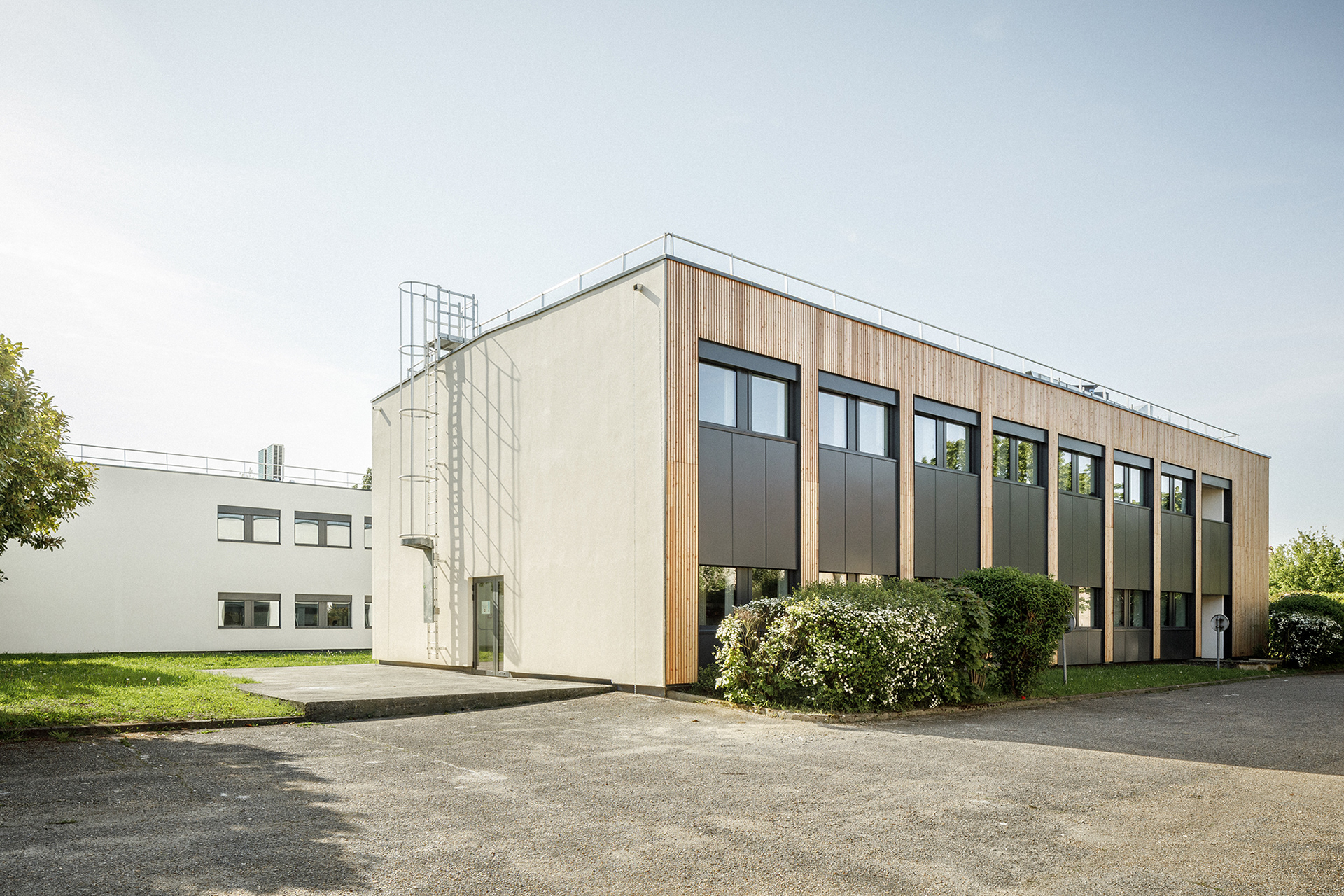 Les pignons et la cour