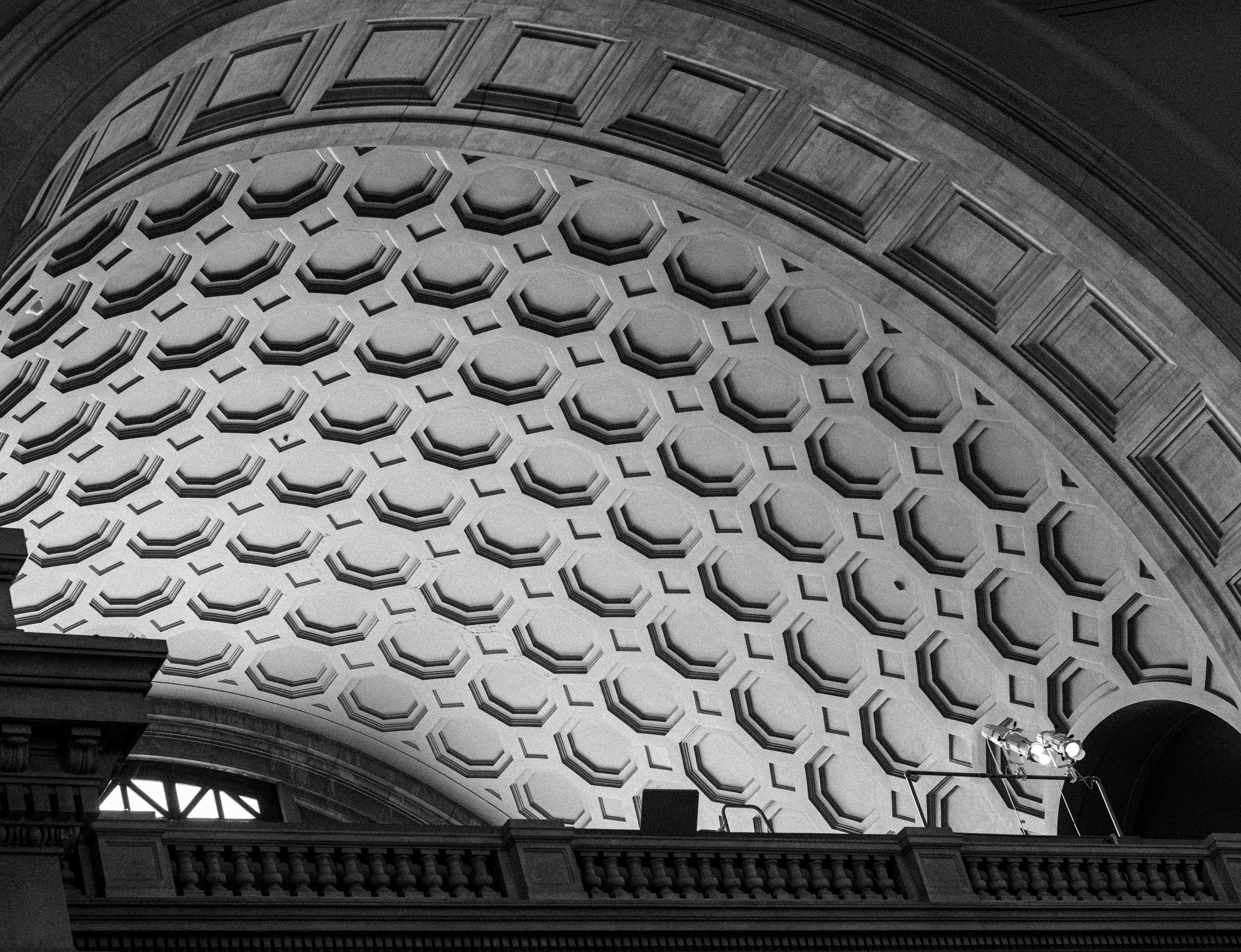 Intricate ceiling design at the National Museum of Natural History
