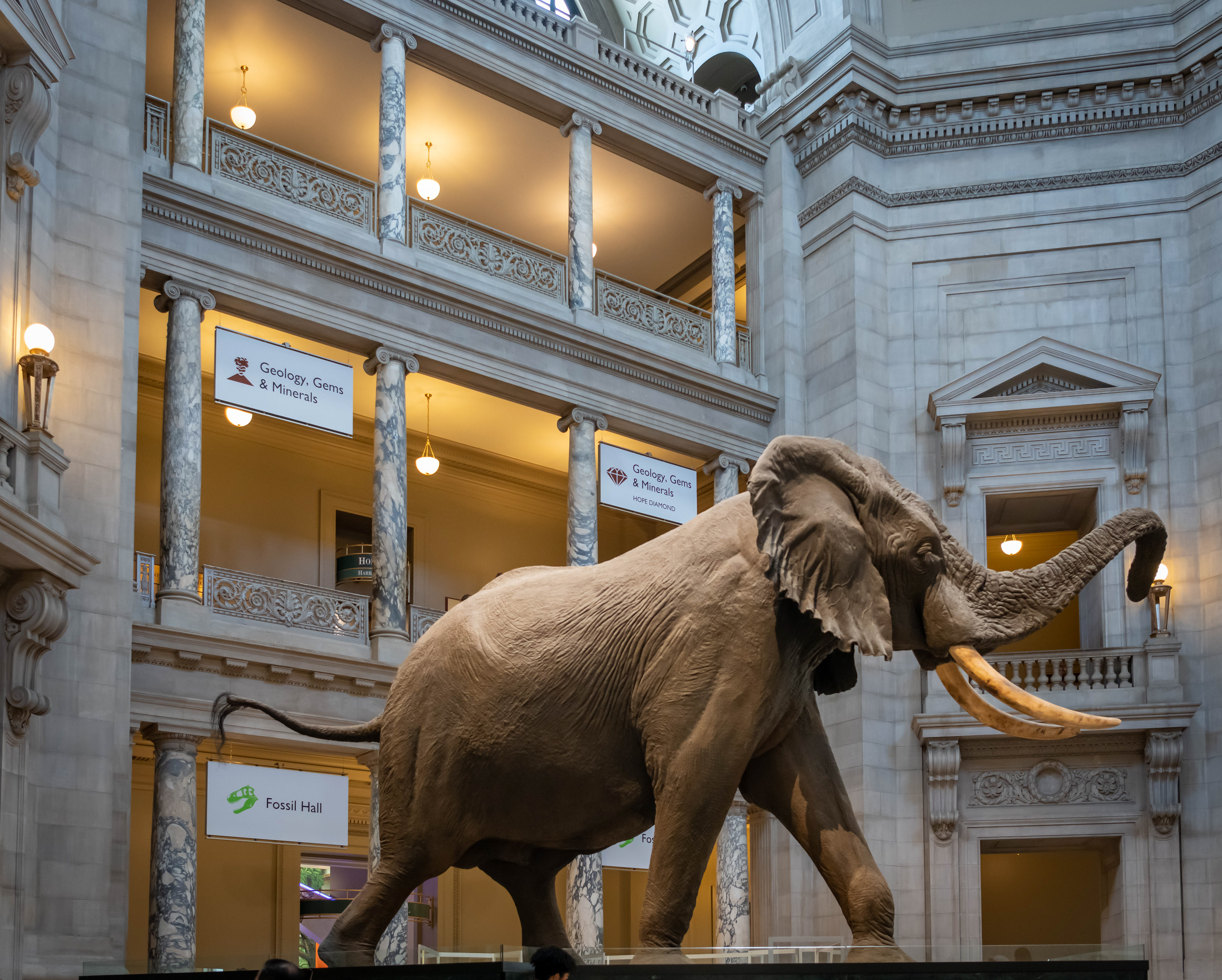 Let's talk ab out the elephant in the room
