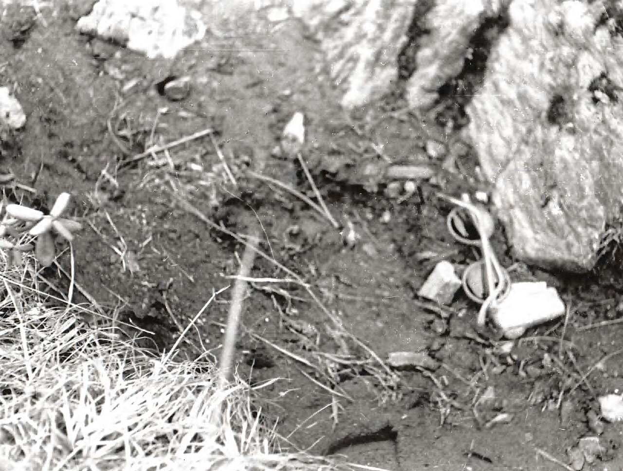 예티발자국 taken by C.R. Cooke in 1944