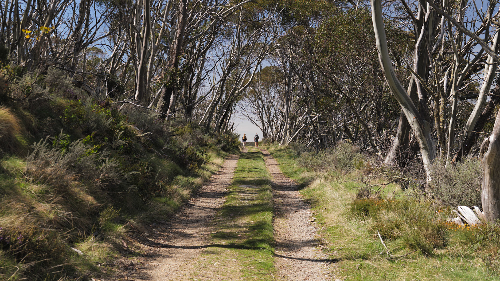 The road to Cascade Hut, Kosciuszko National Park