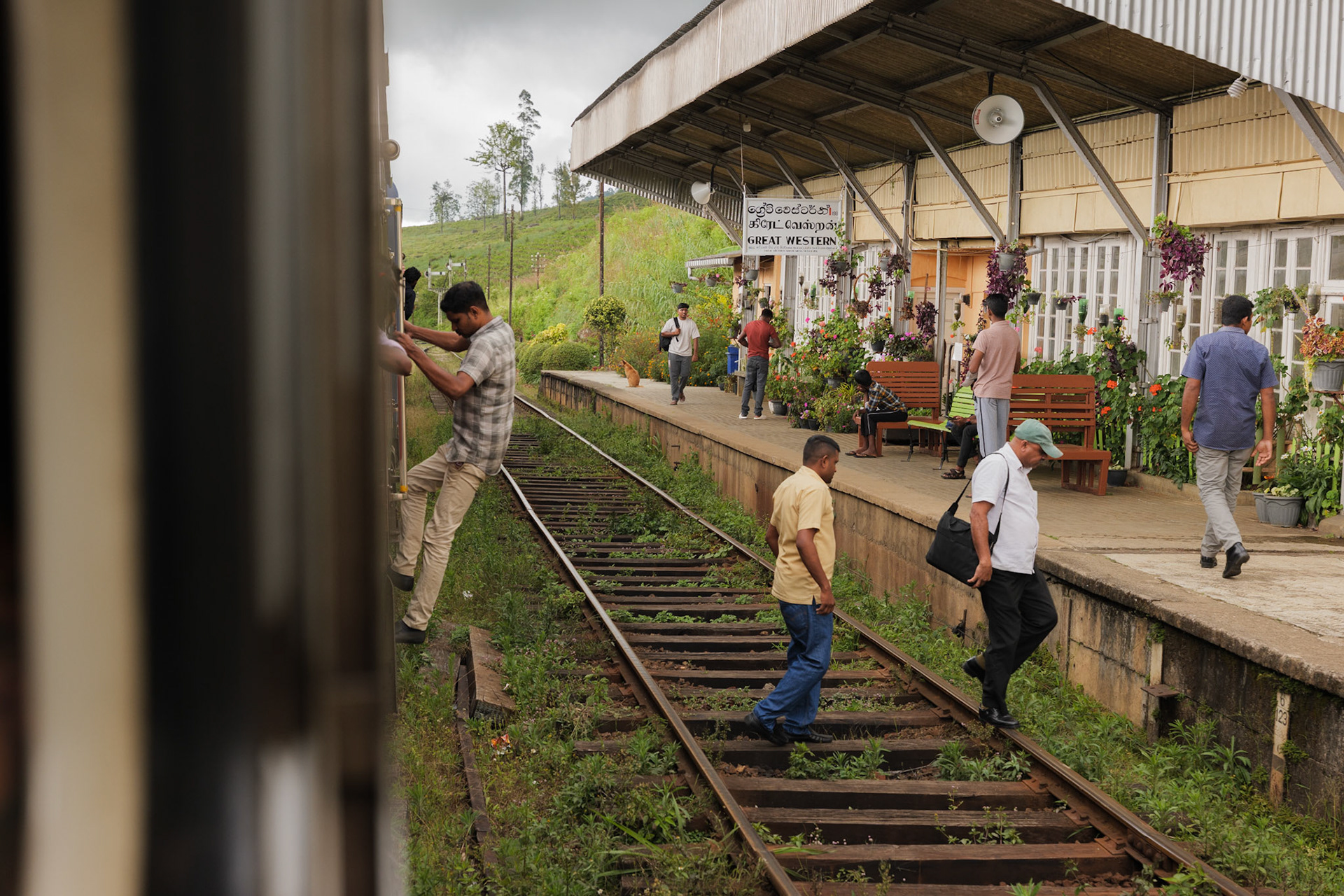 Train to Ella 02