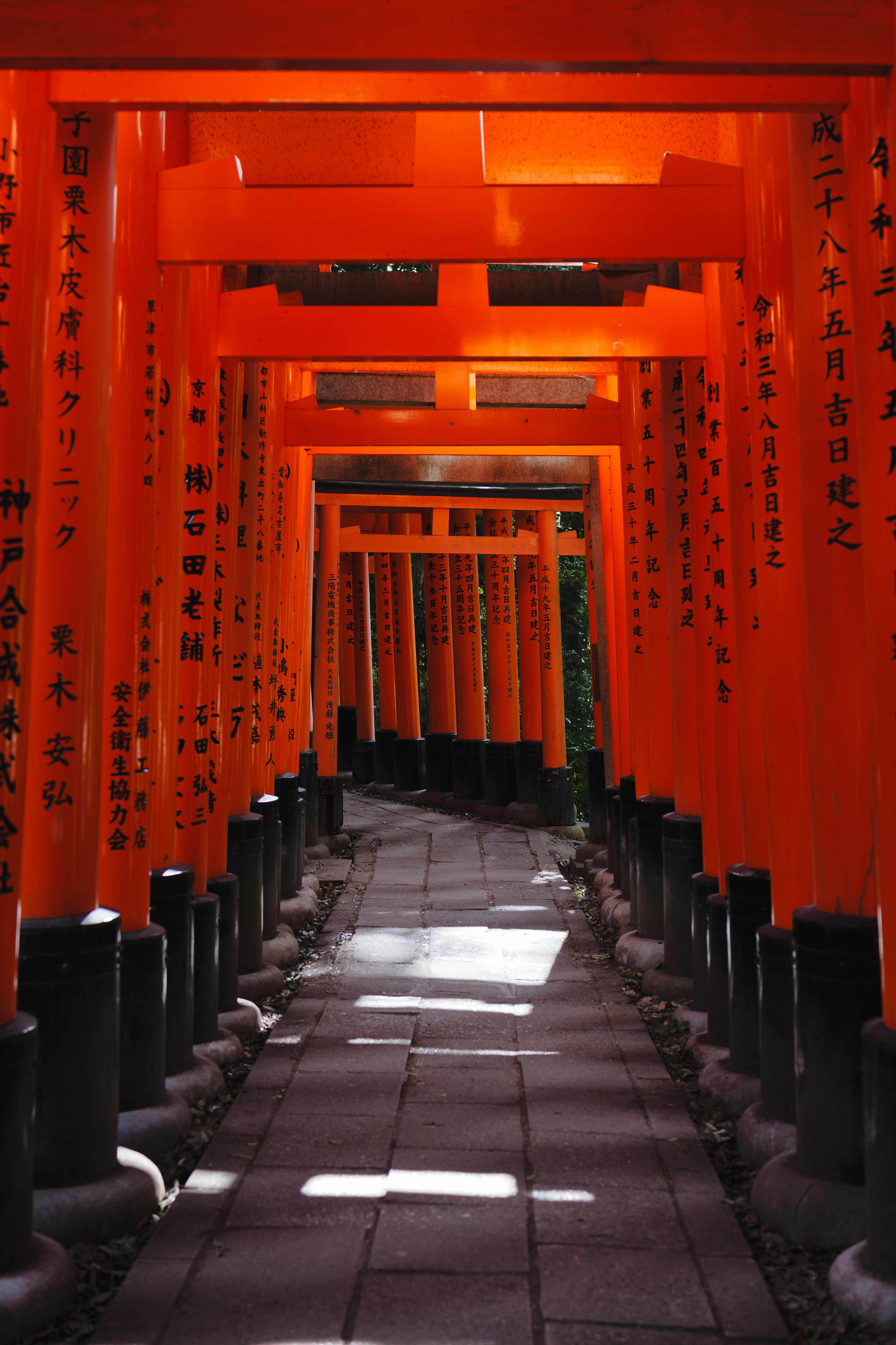Torii gates, Fushimi Inari