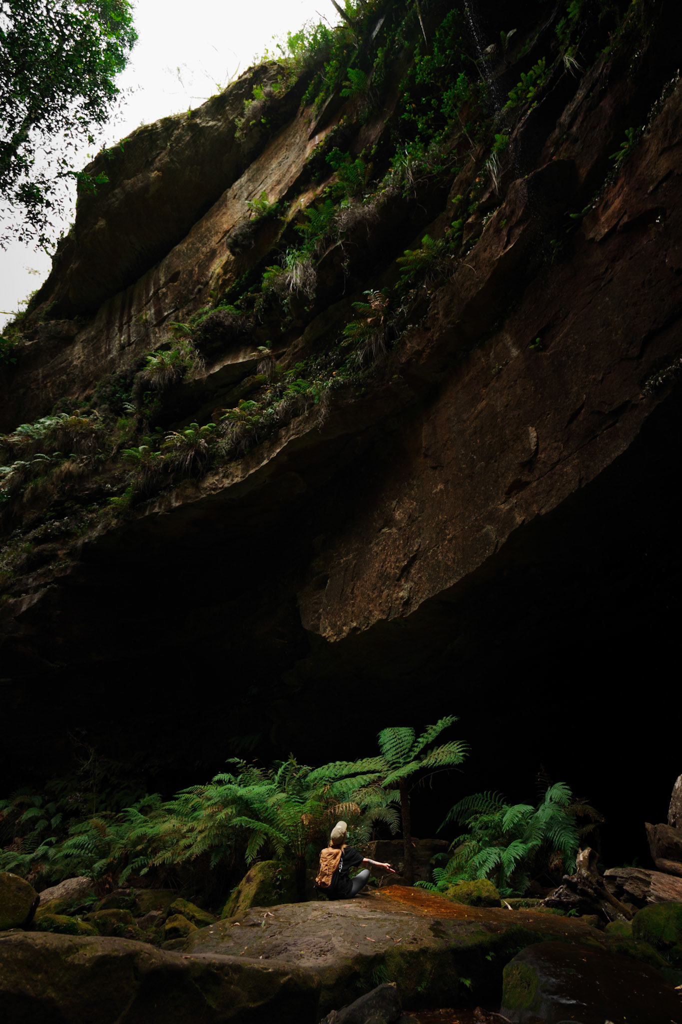 Grand Canyon track, Blue Mountains, NSW 03