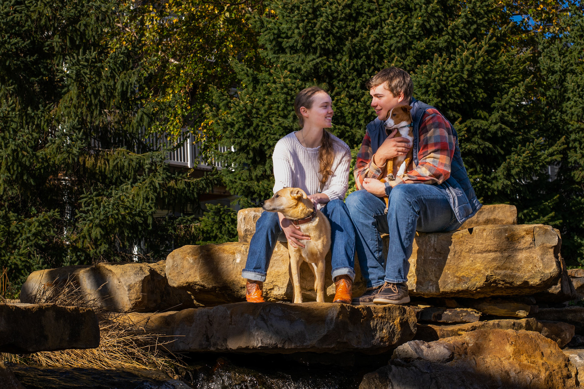 Couple with dogs and evergreen backdrop