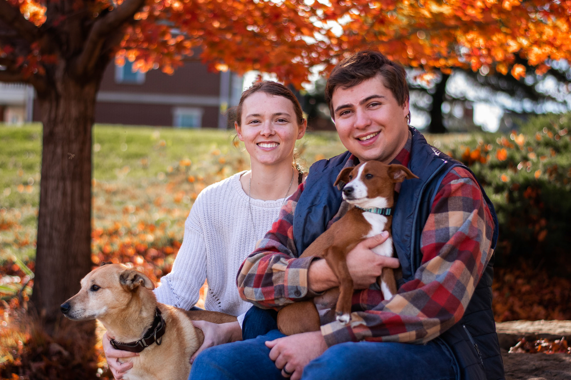 A couple in a fall setting with their two dogs