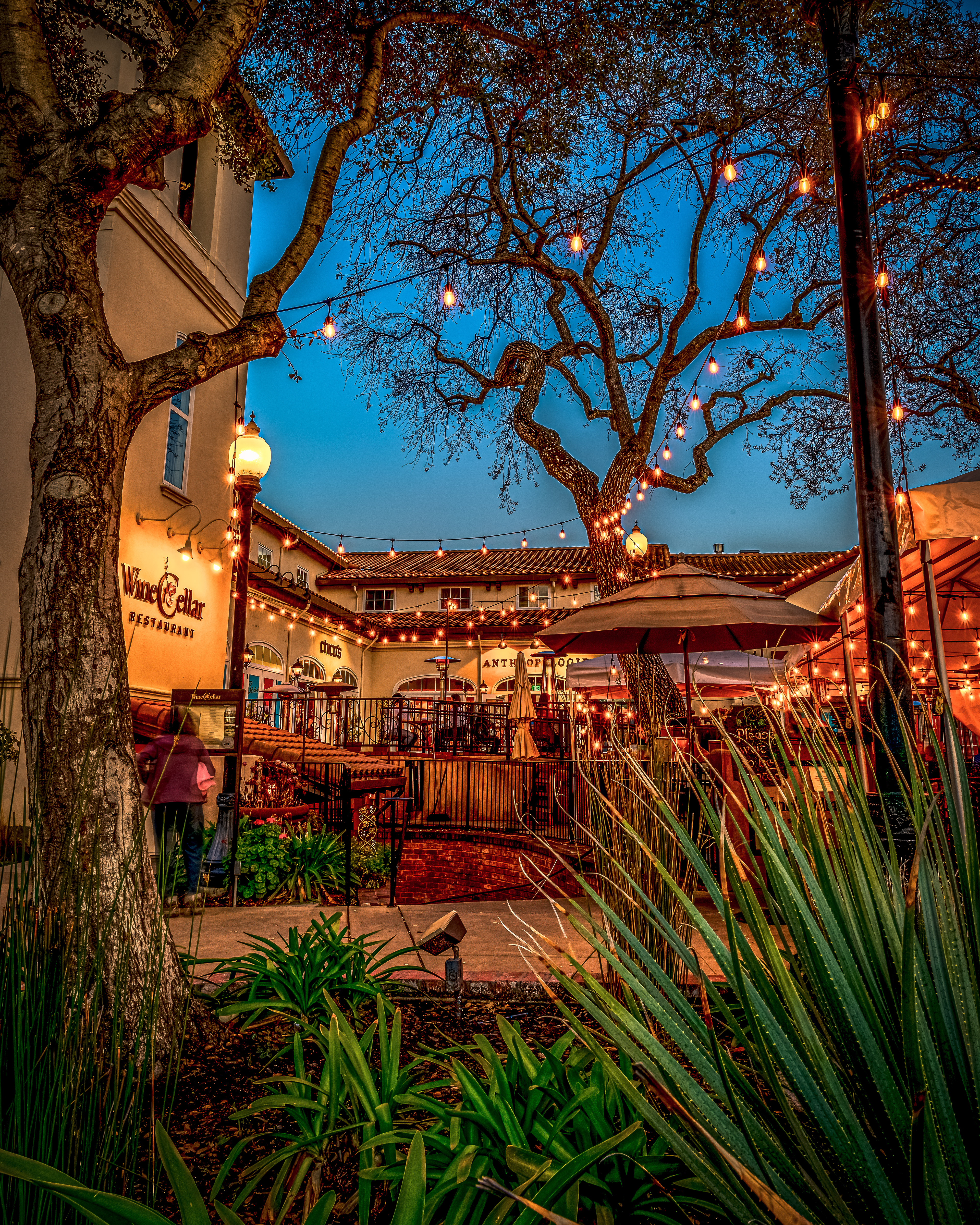 Old Town - Los Gatos