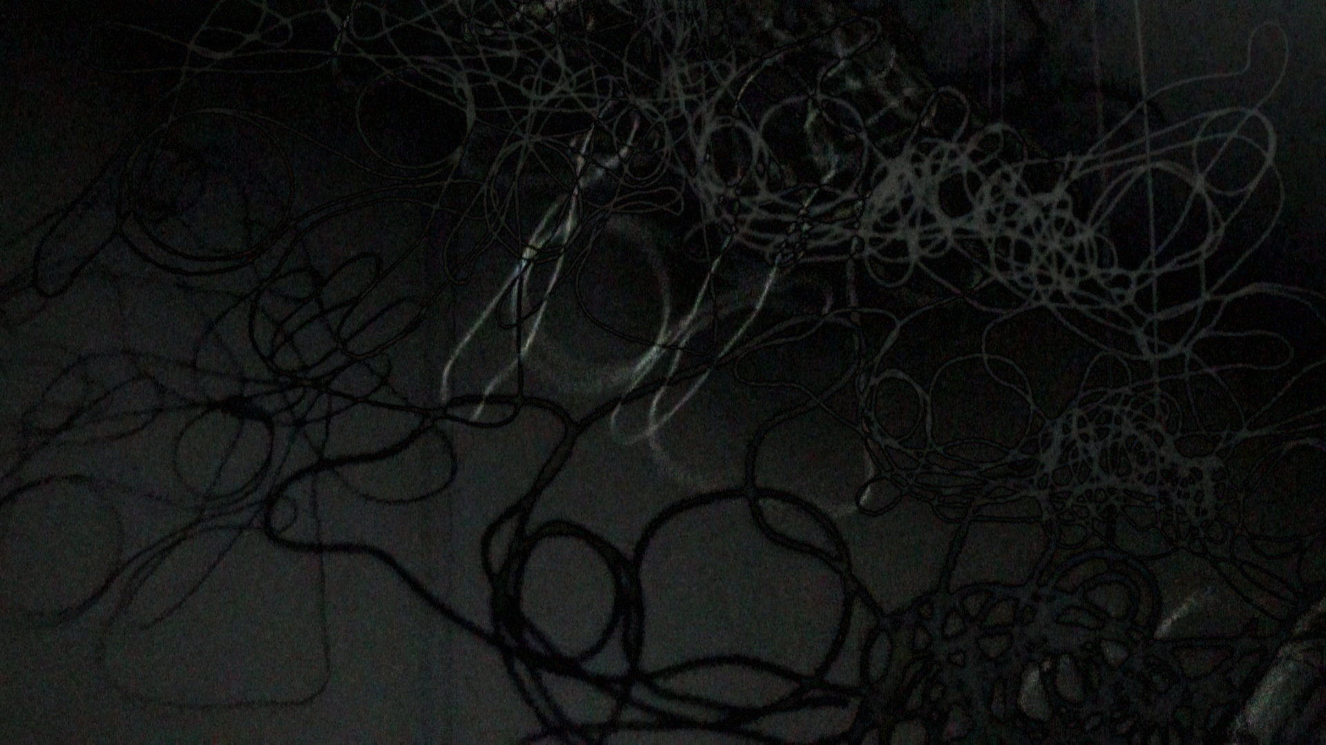 All images made by photographing shadows of ironwire and layering the photos in photoshop.