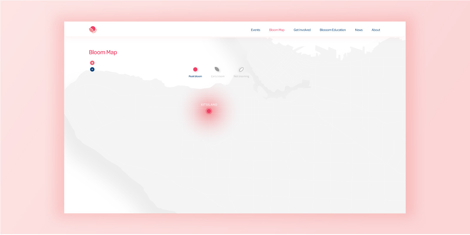 Map automatically zooms in