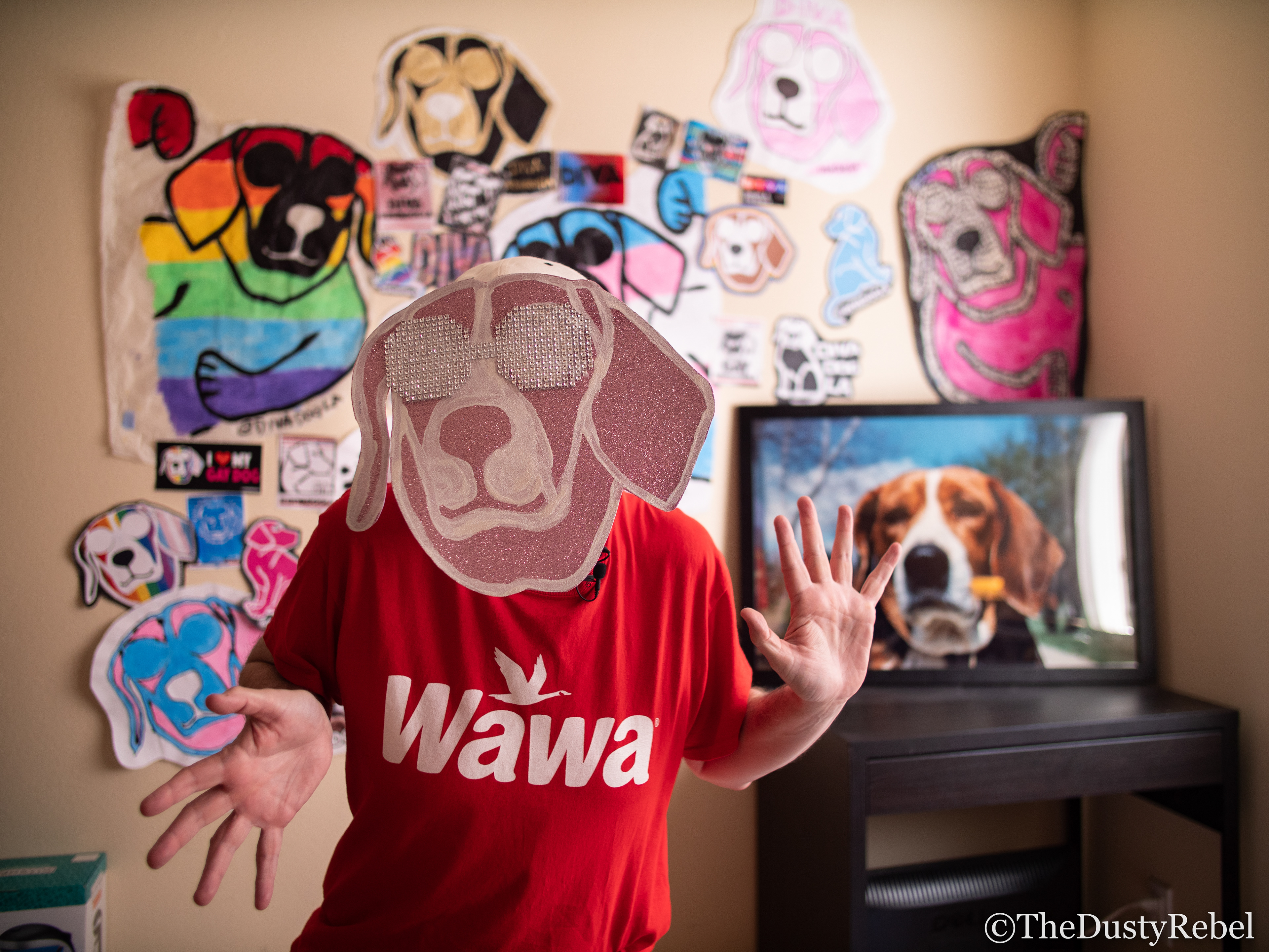 Diva Dog LA in Los Angeles (2019)
