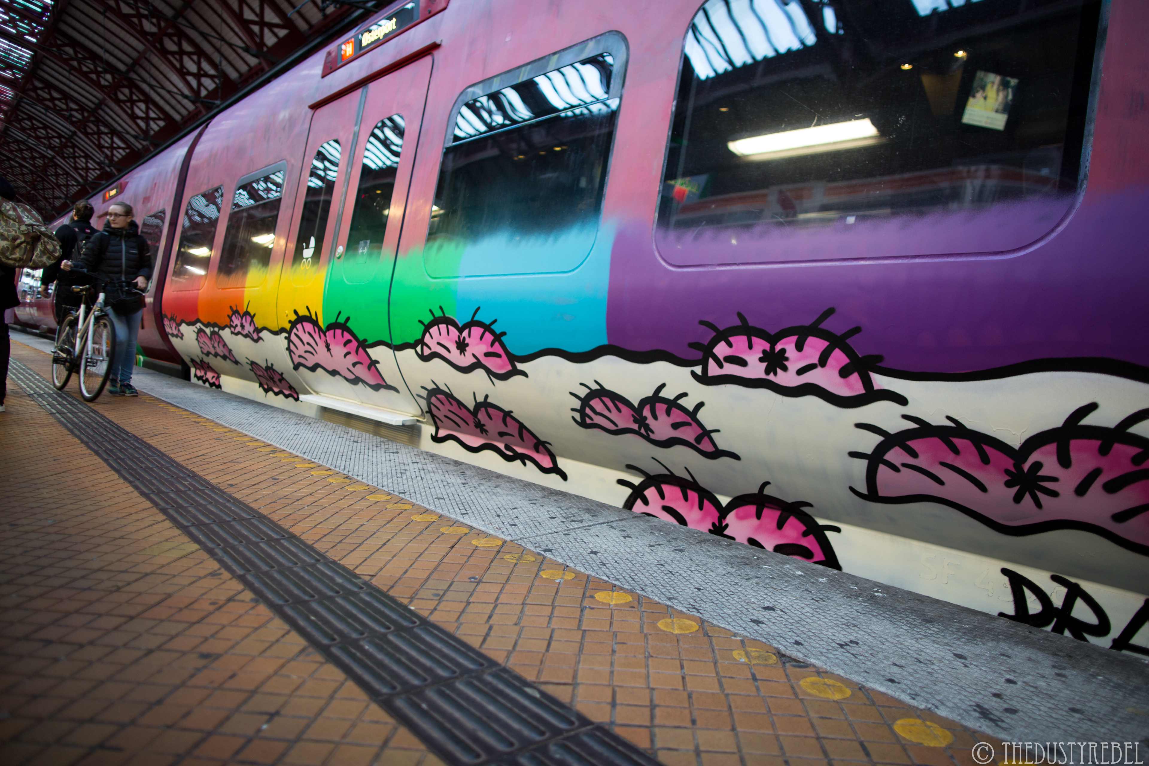 EDES train in Copenhagen, 2017