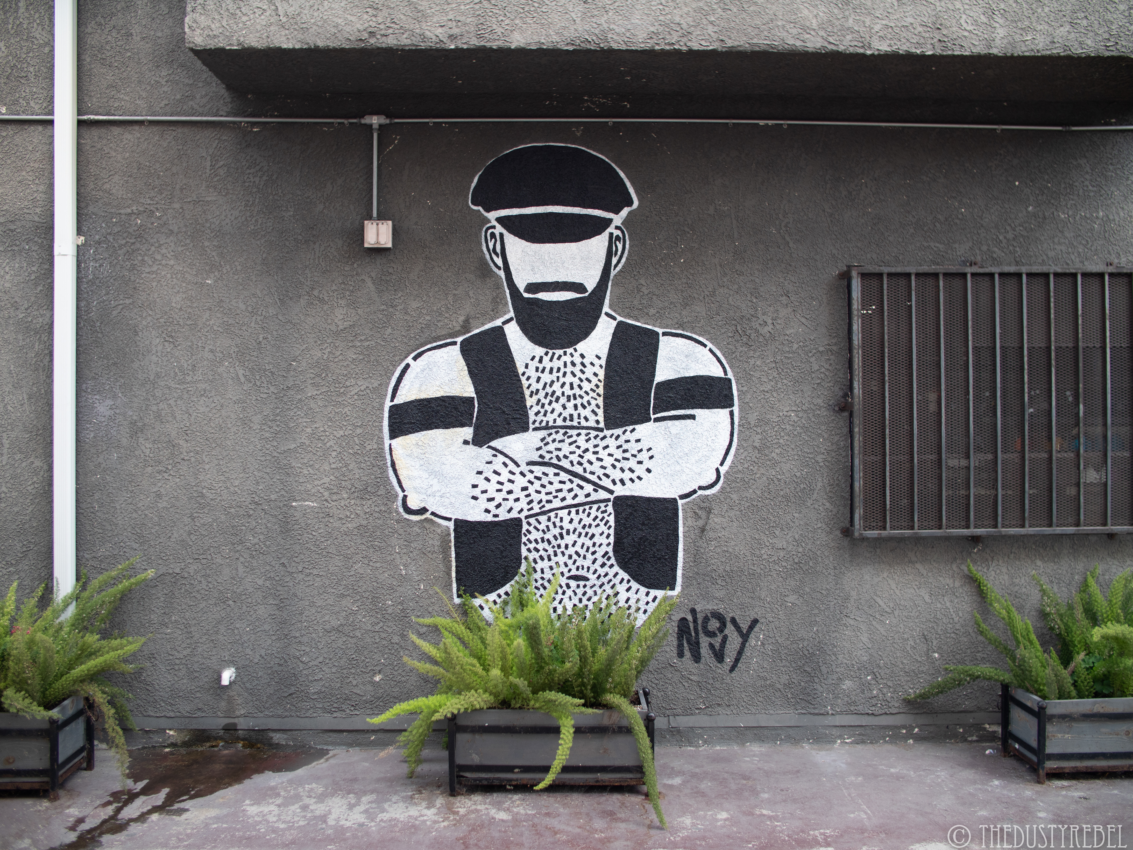 Jeremy Novy, Los Angeles (2019)