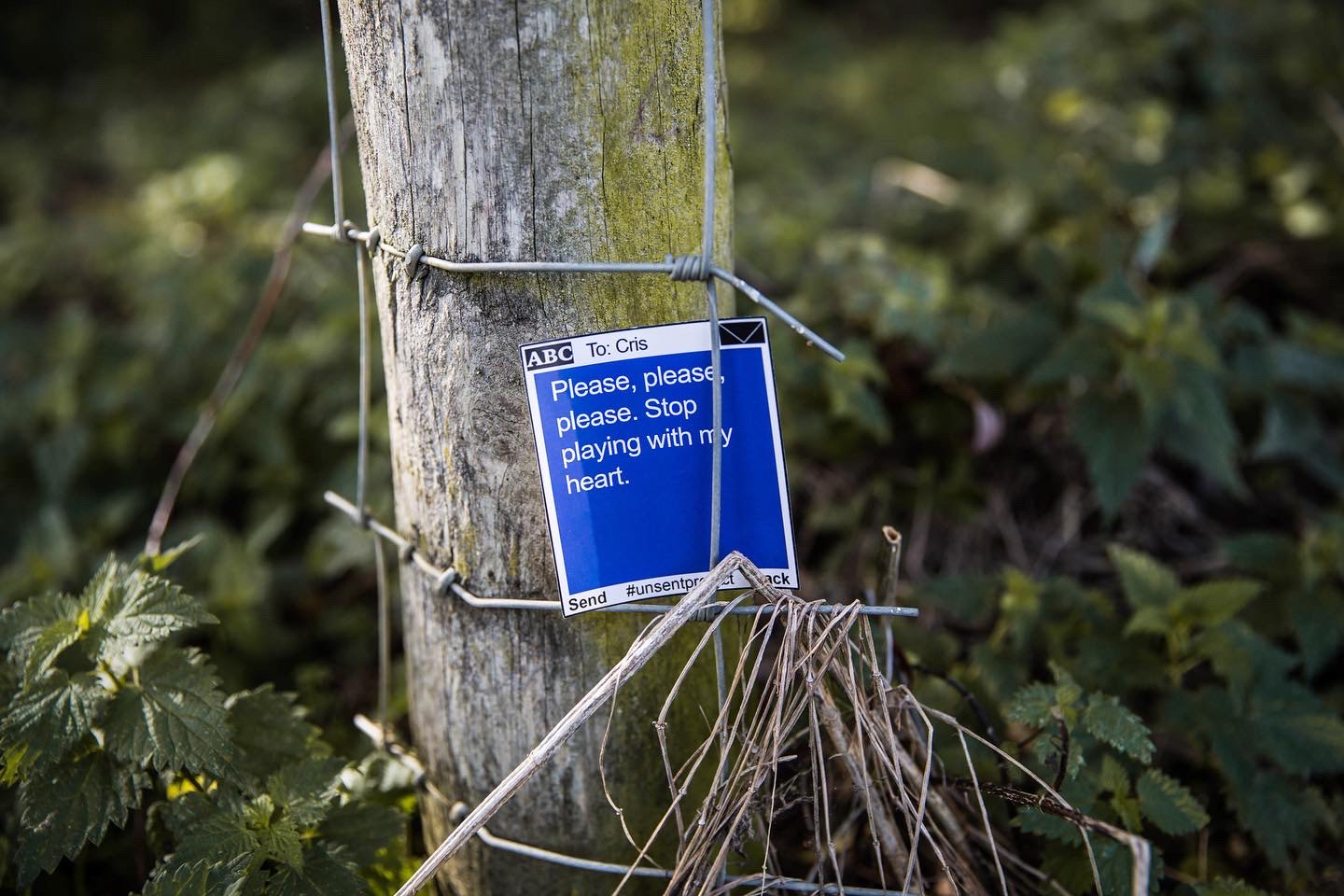 The Unsent Project Sticker