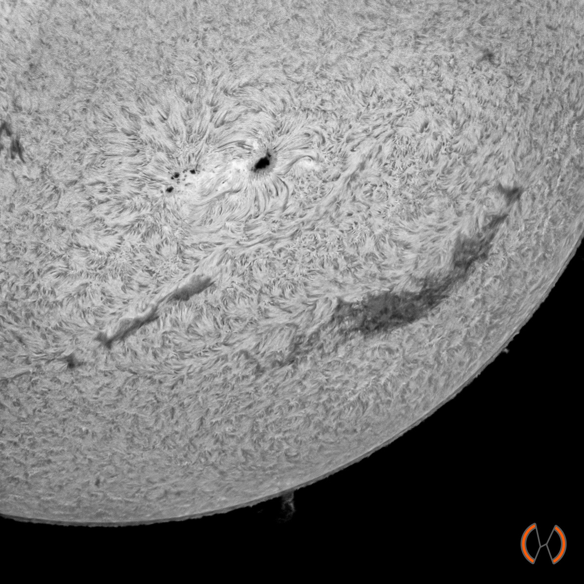 2022 - De Zon in Hydrogen Alpha licht met AR3055