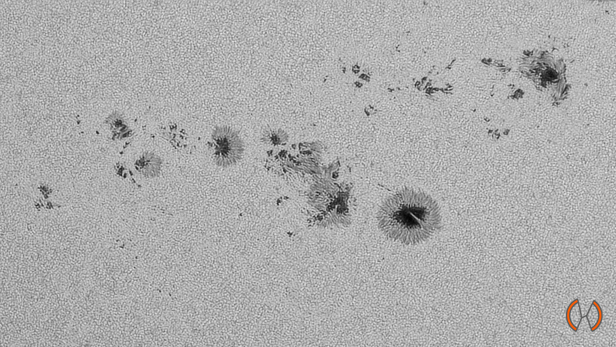 2024 - De Zon in continuüm (zichtbaar) licht met zonnevlekken AR3769, 63, 64, 66, 67 en 65