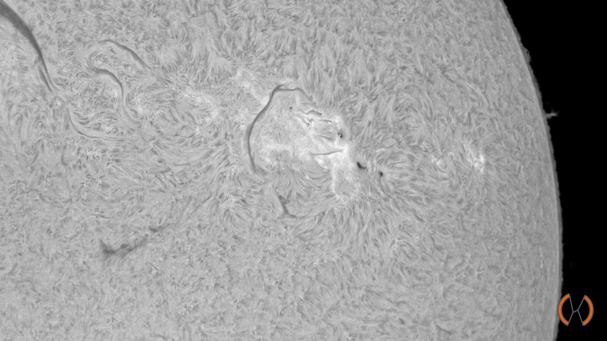 2022 - De Zon in Hydrogen Alpha licht met zonnevlek AR3053