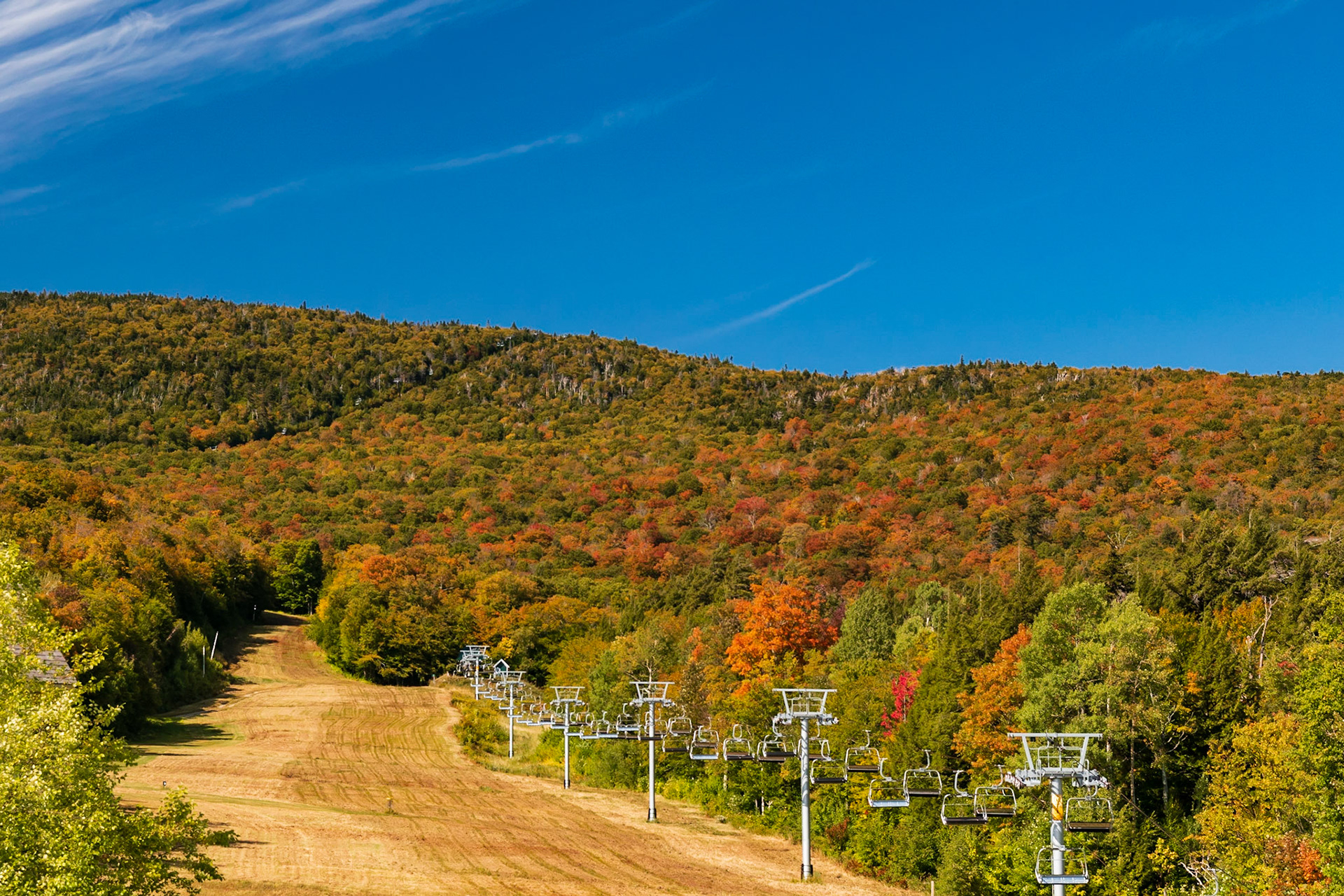 Mad River Fall Foliage