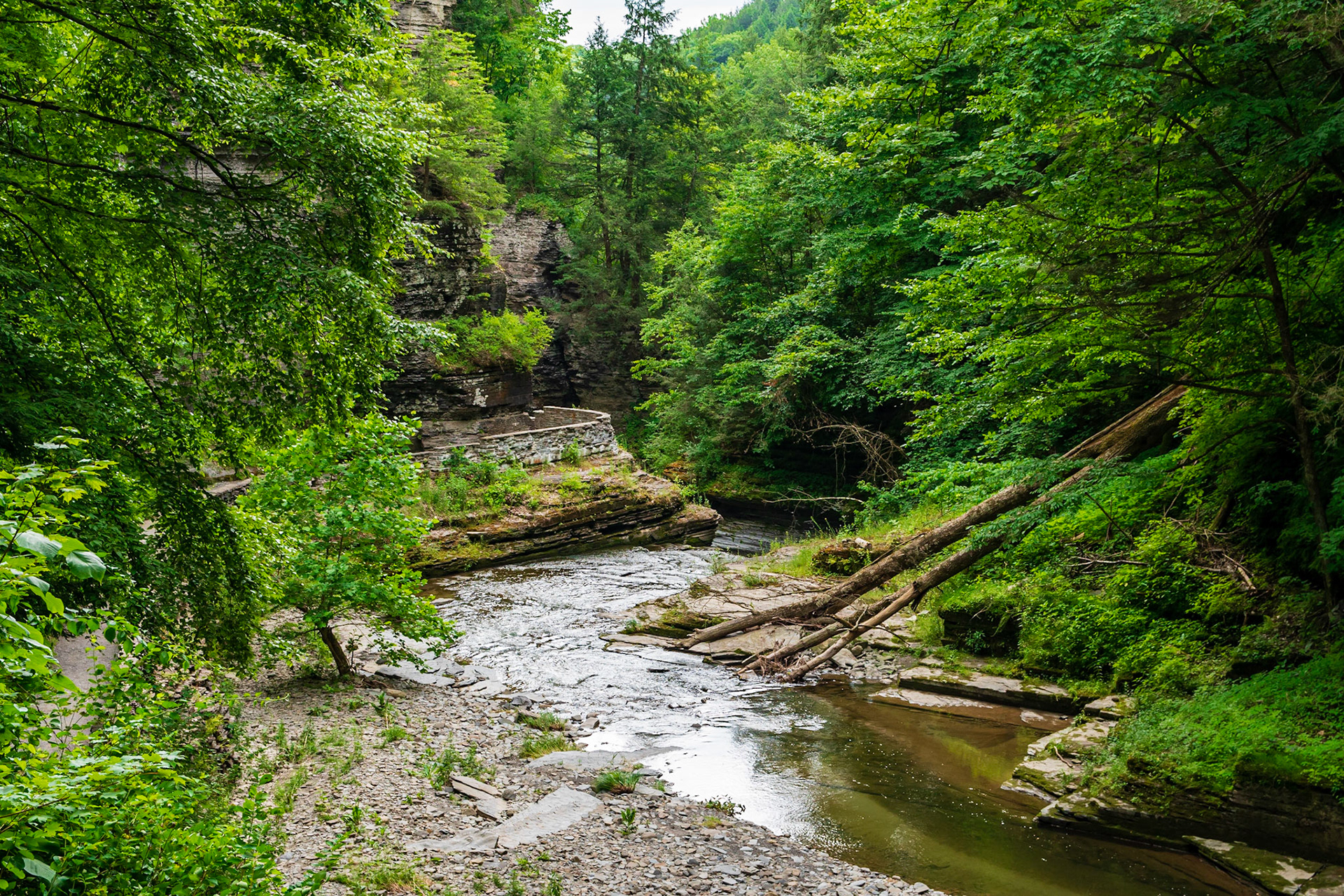Robert H Treman State Park