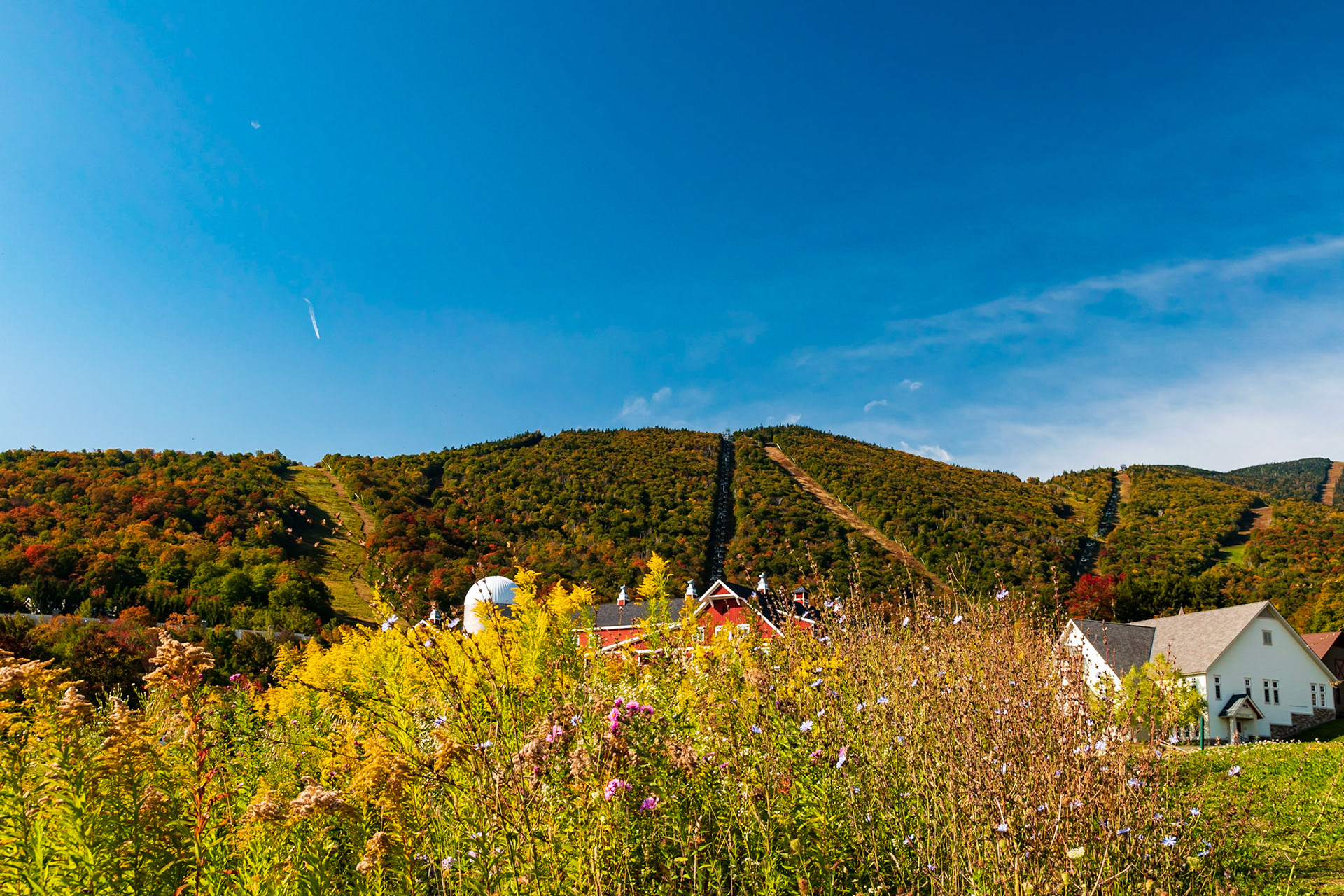 Sugarbush Fall Foliage