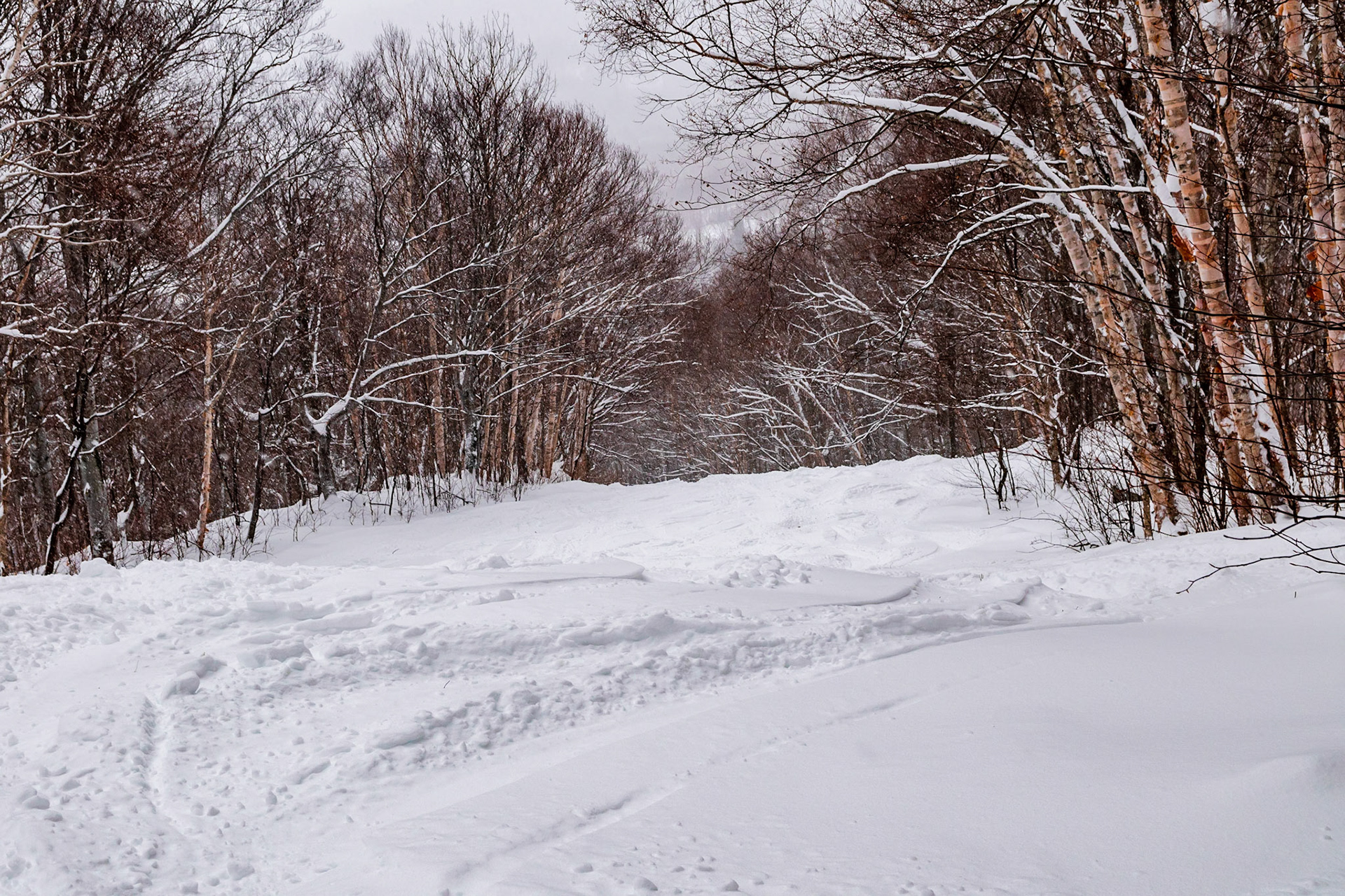 Powder on Semi-Tough