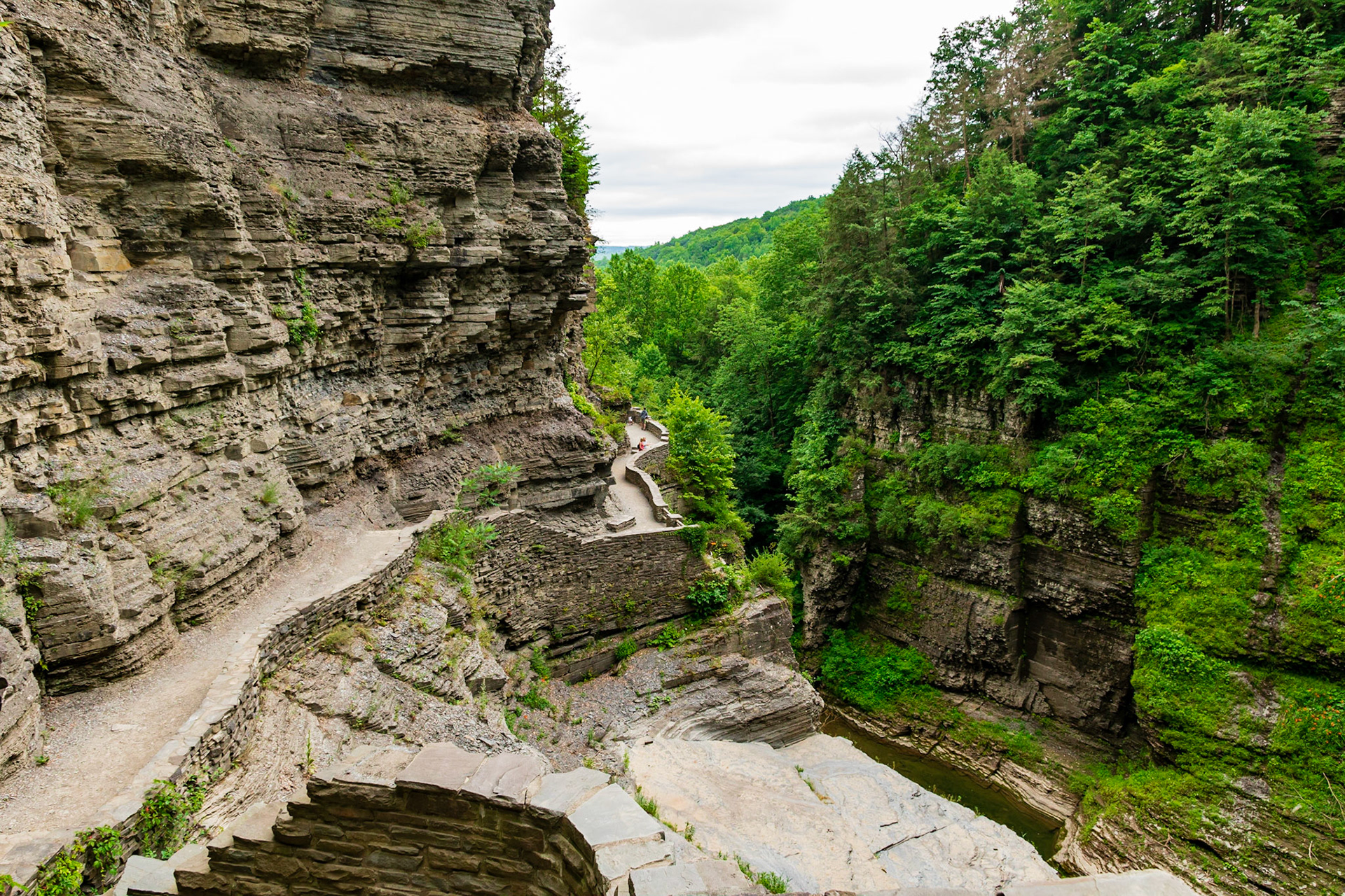 Robert H Treman State Park