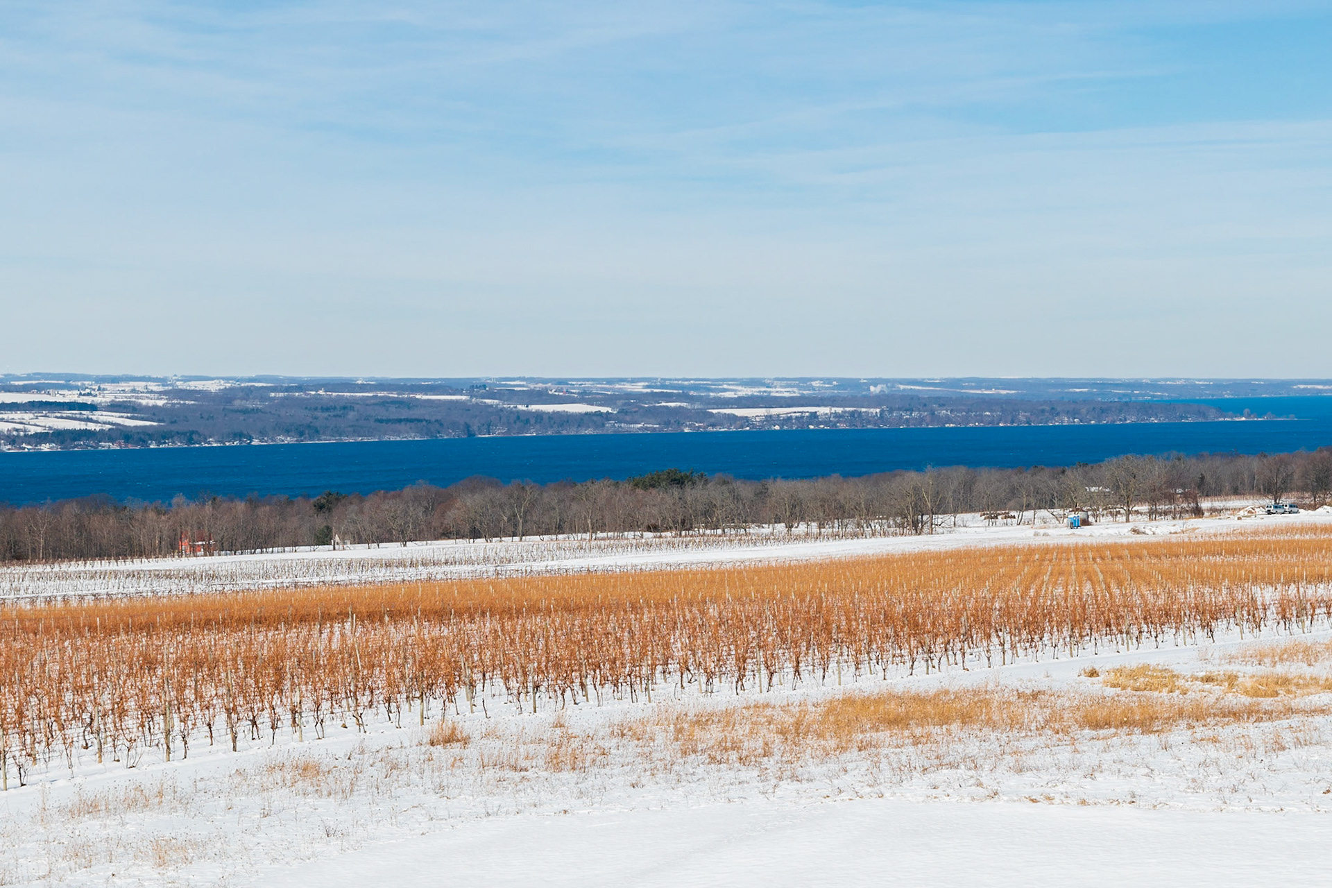 Snowy Vineyards overlooking Seneca Lake