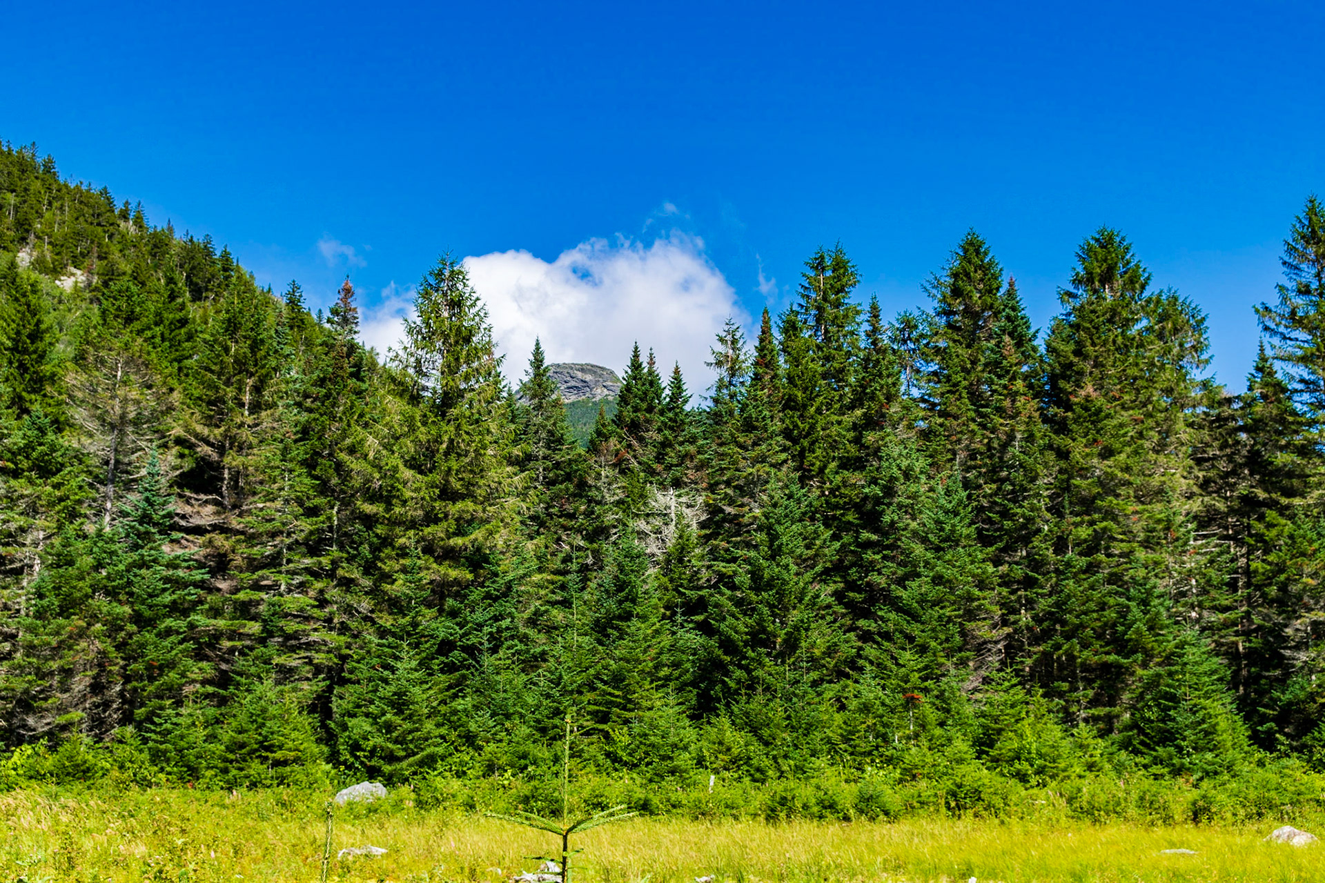 Camel's Hump