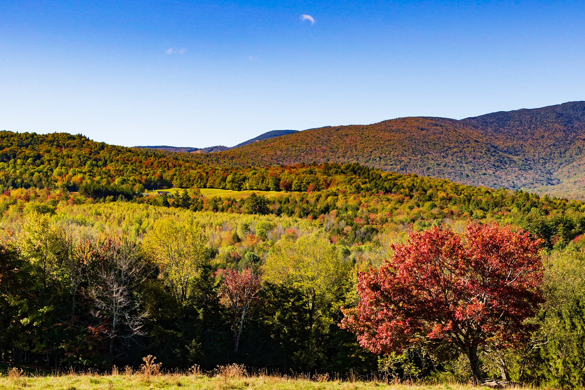 Mad River Valley Foliage