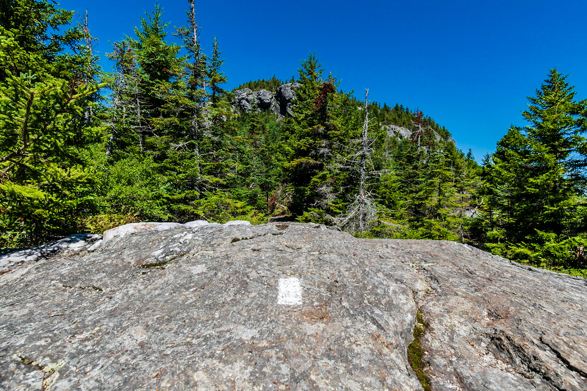 Long Trail