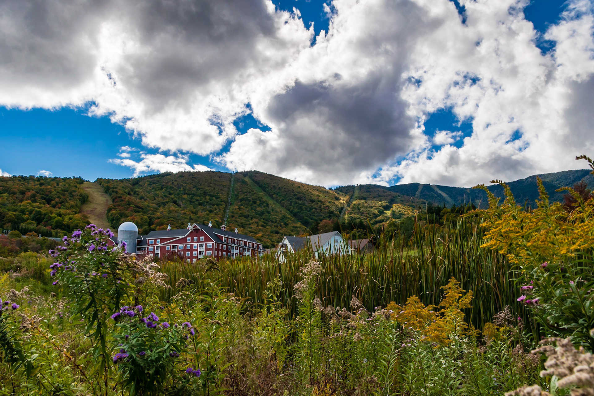 Sugarbush Early Fall