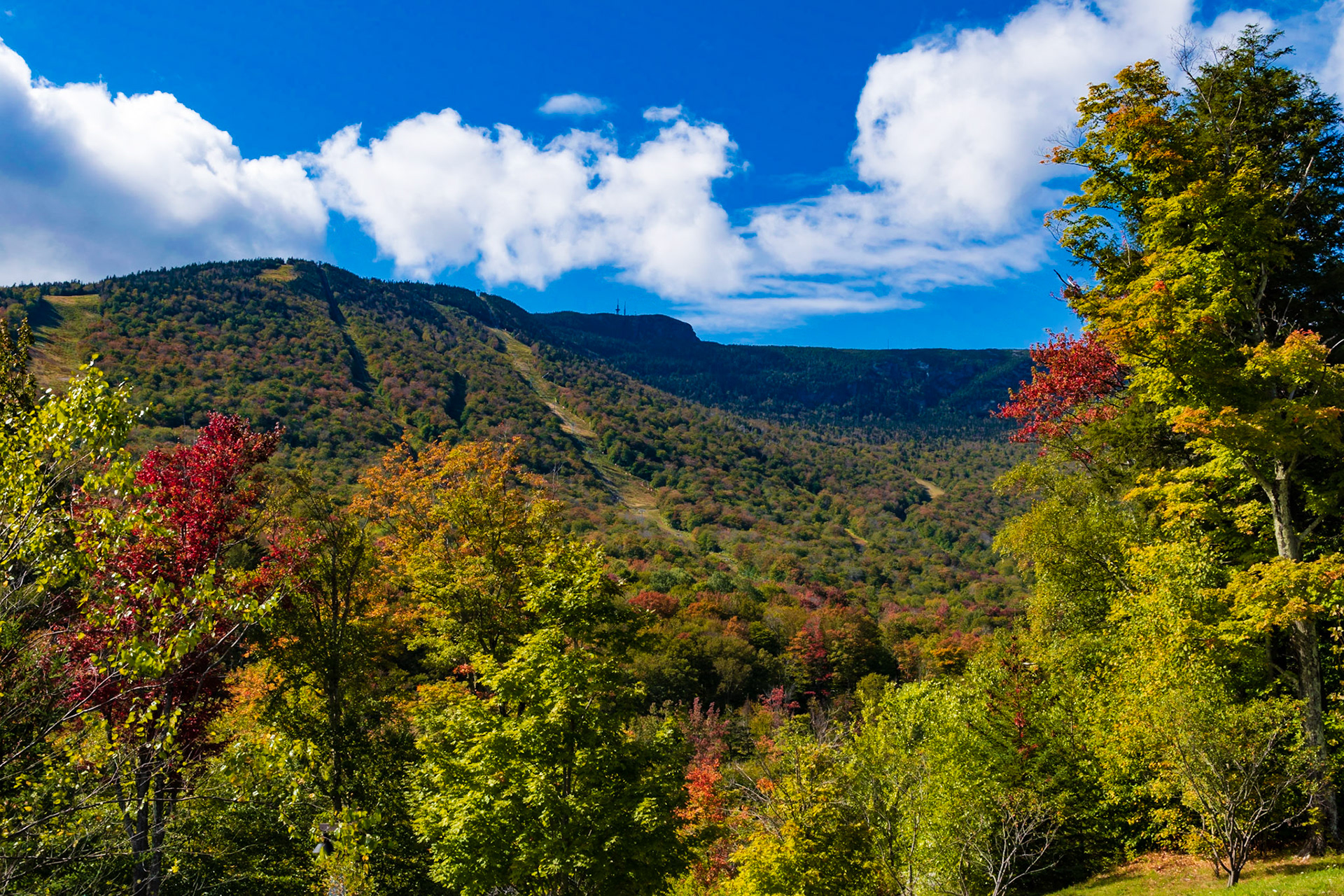 Mt Mansfield Autumn Colors