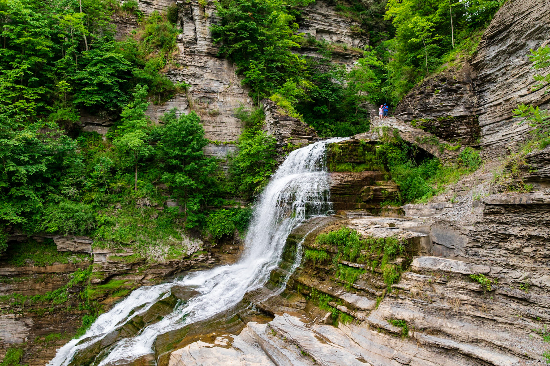 Robert H Treman State Park