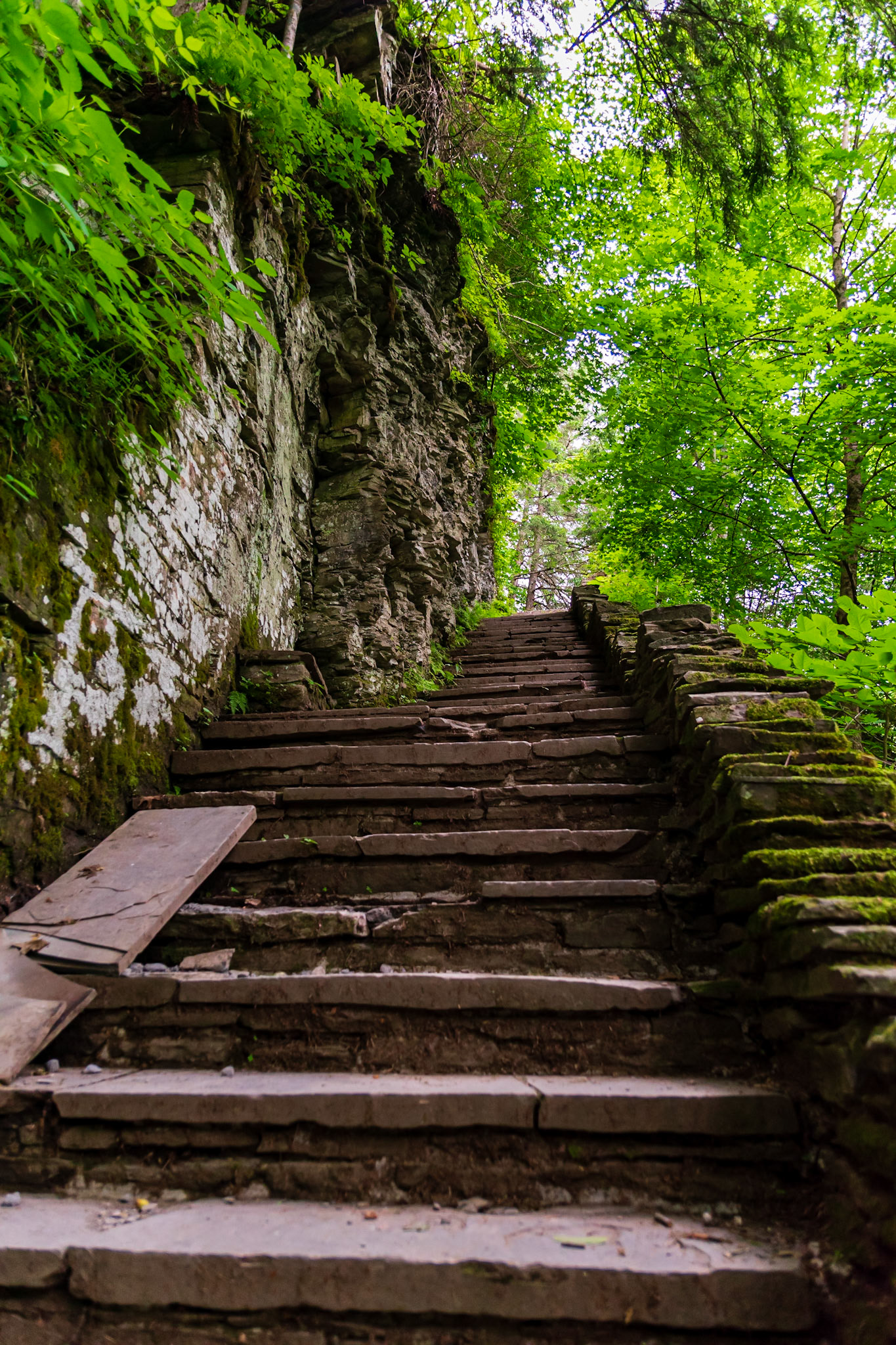 Robert H Treman State Park