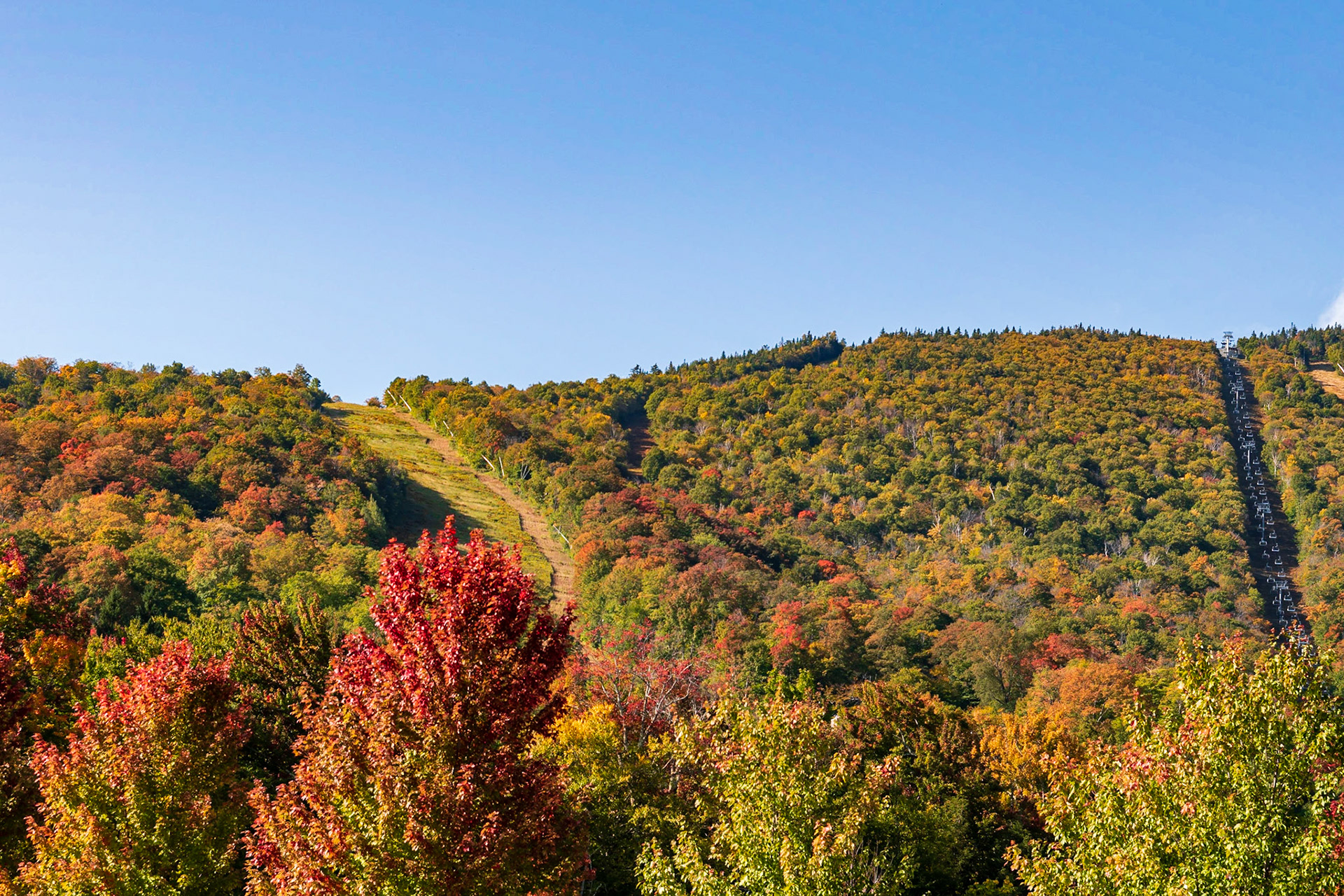 Sugarbush Fall Foliage