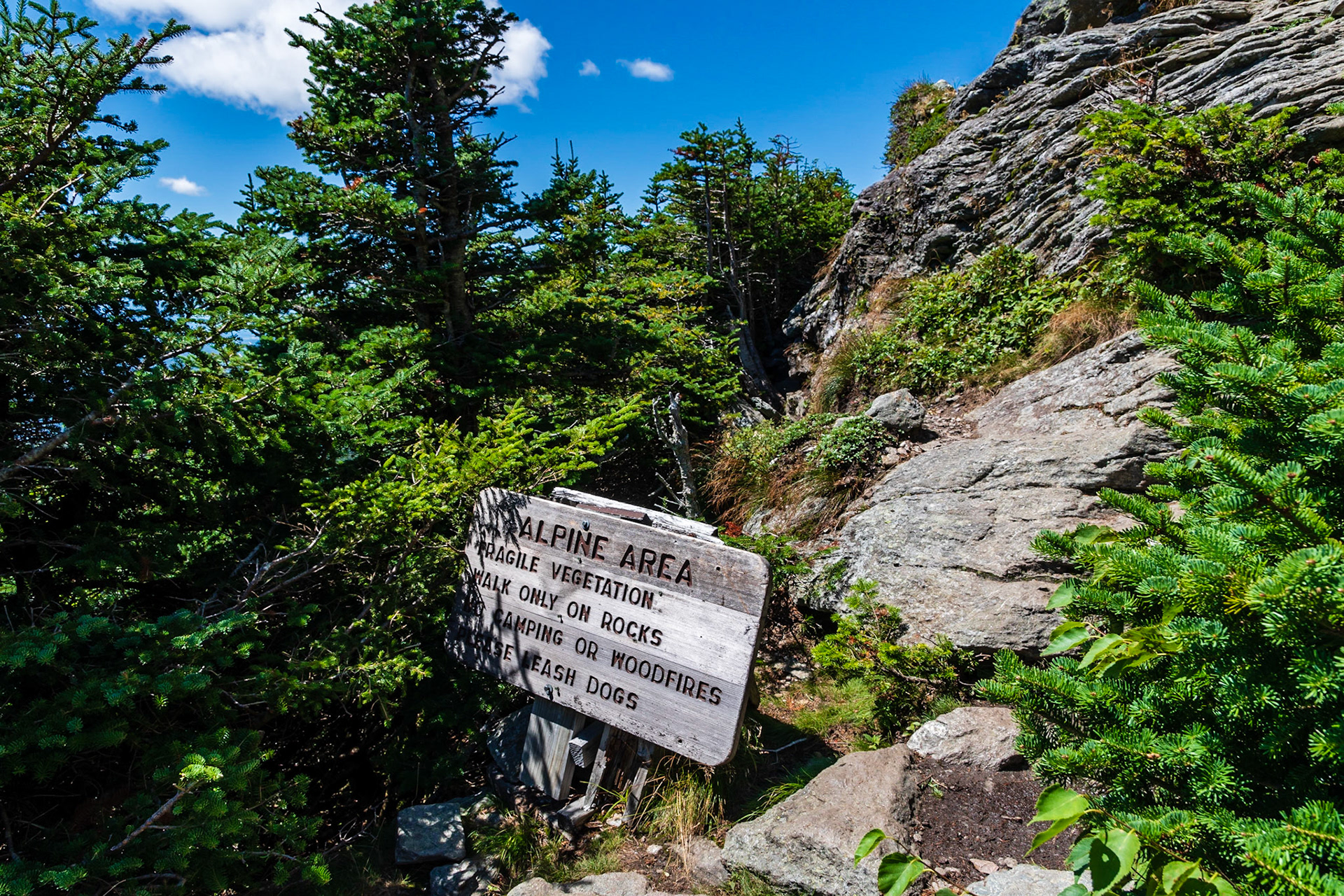 Approaching Camel's Hump Alpine Area